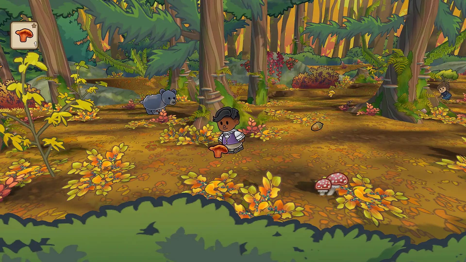 Echoes of the Plum Grove media 5