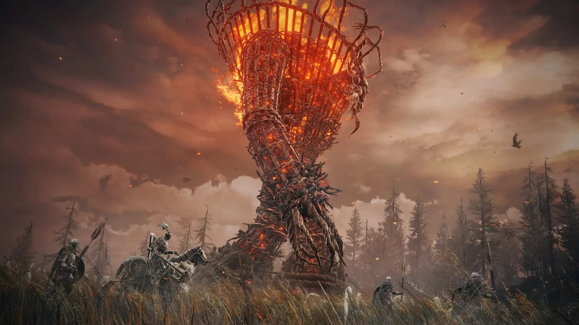 Elden Ring - Shadow of the Erdtree Premium Bundle media 4