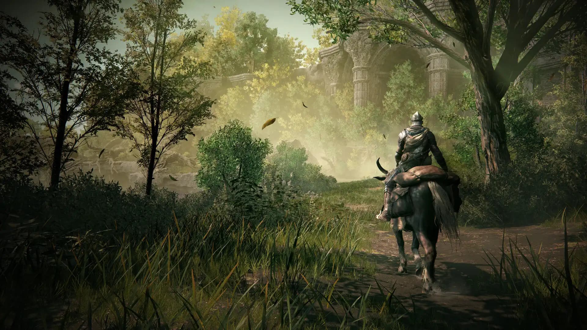 Elden Ring - Shadow of the Erdtree Premium Bundle media 5