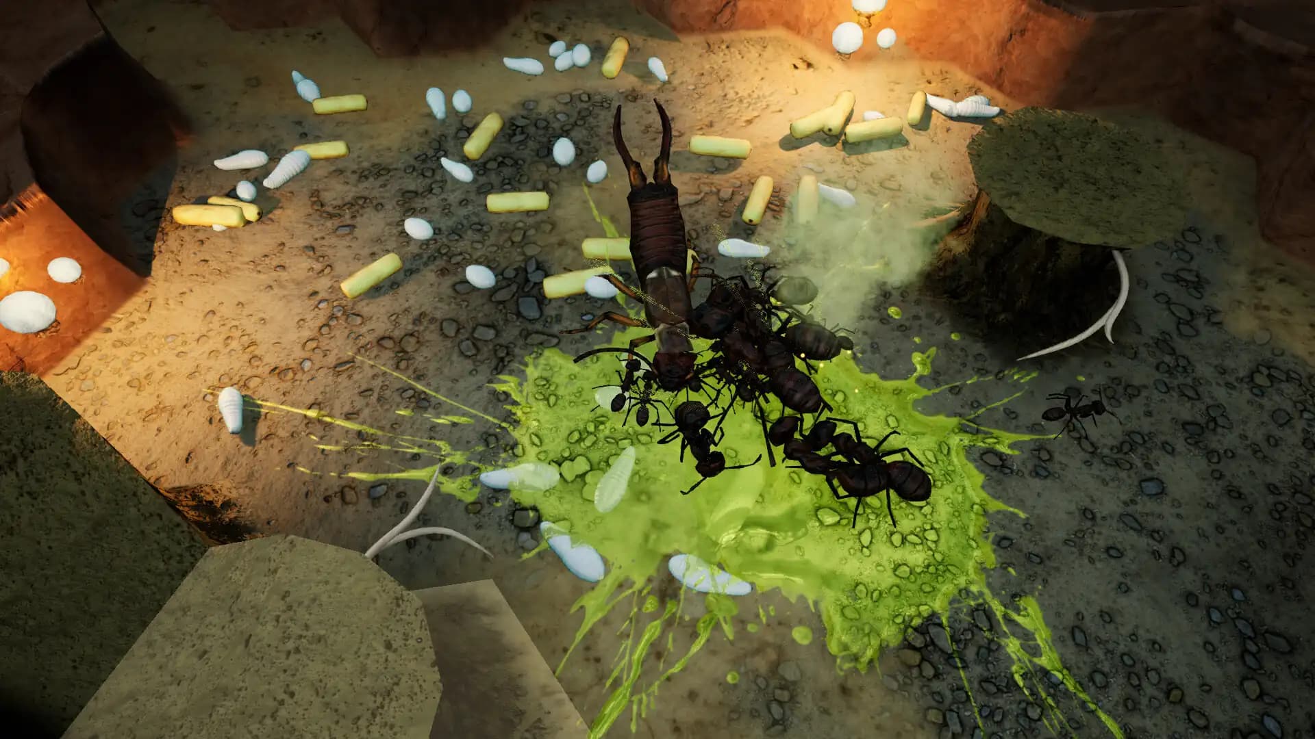 Empires of the Undergrowth - Exploding Ants media 1