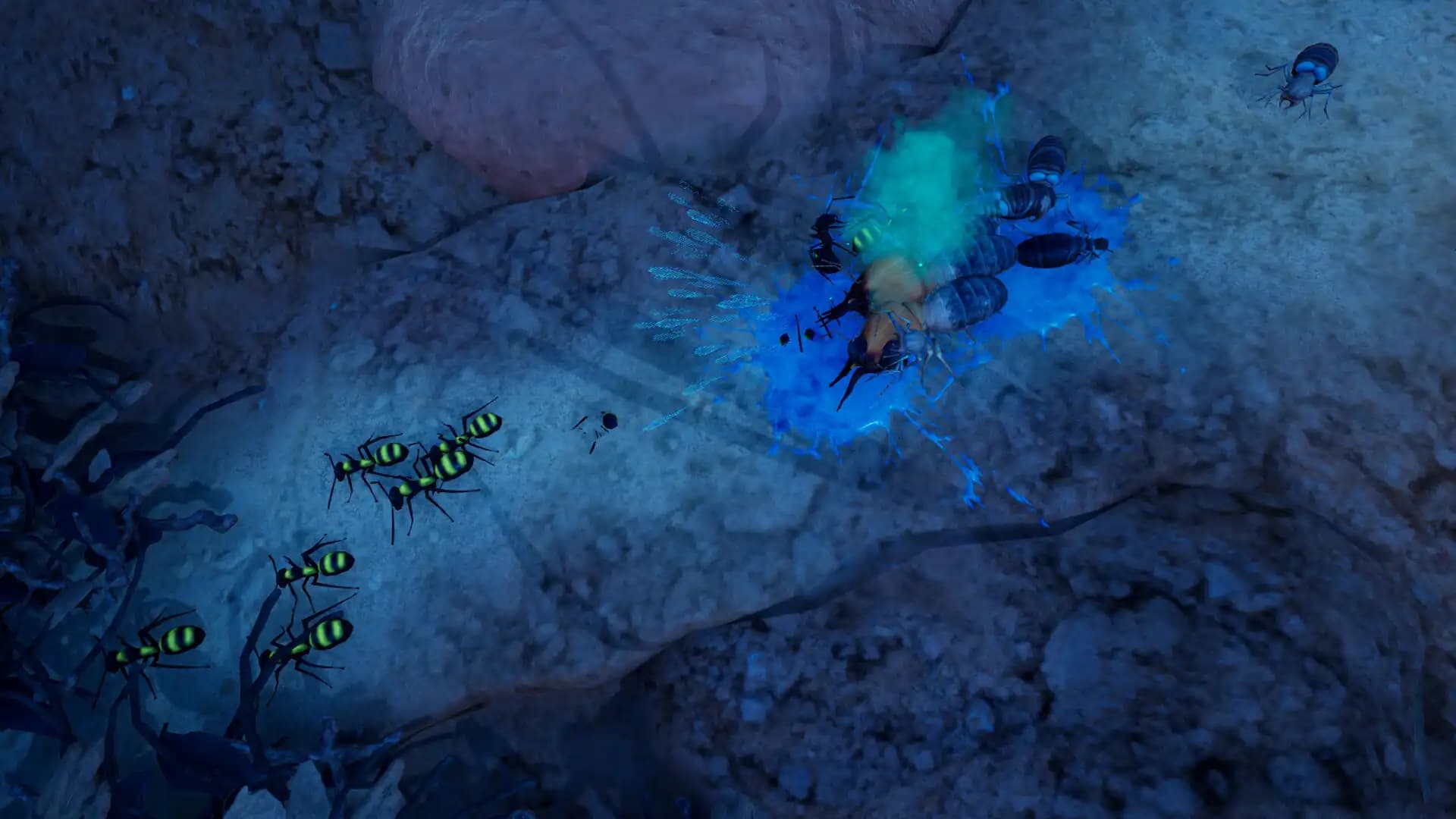Empires of the Undergrowth - Exploding Ants media 2