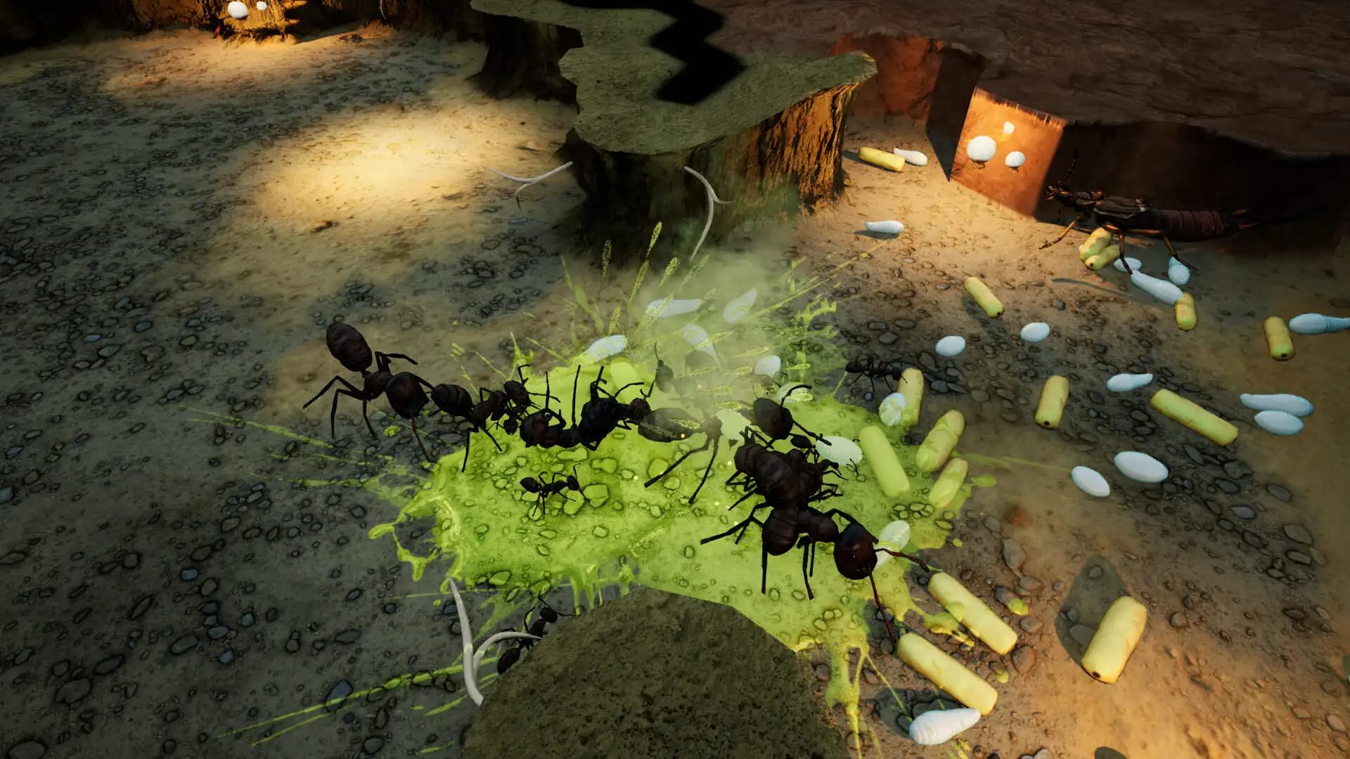 Empires of the Undergrowth - Exploding Ants media 3