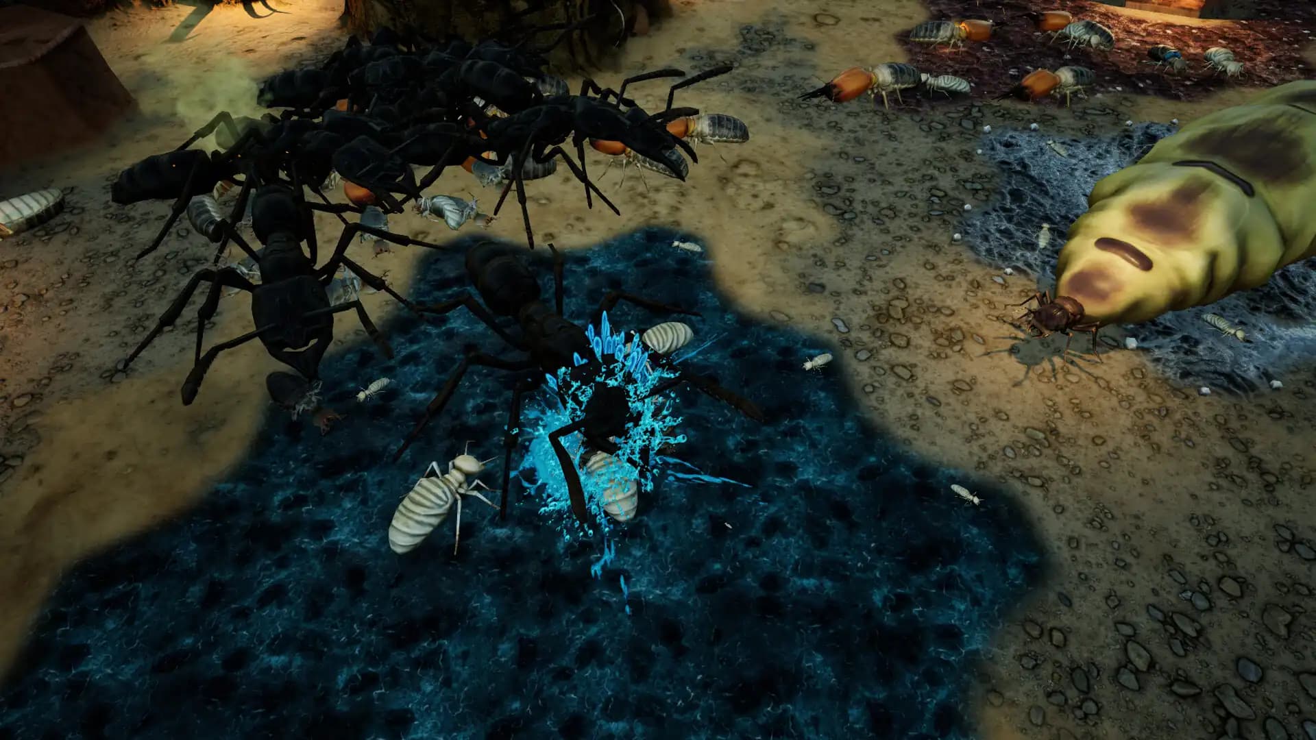 Empires of the Undergrowth - Exploding Ants media 4