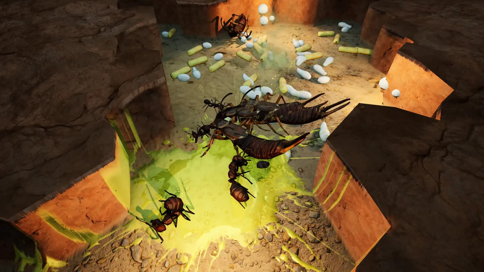 Empires of the Undergrowth - Exploding Ants media 5
