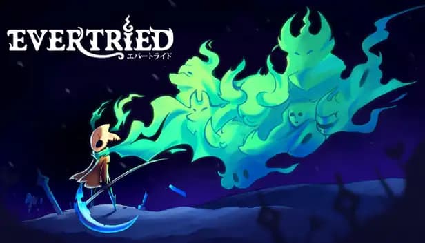 Evertried cover