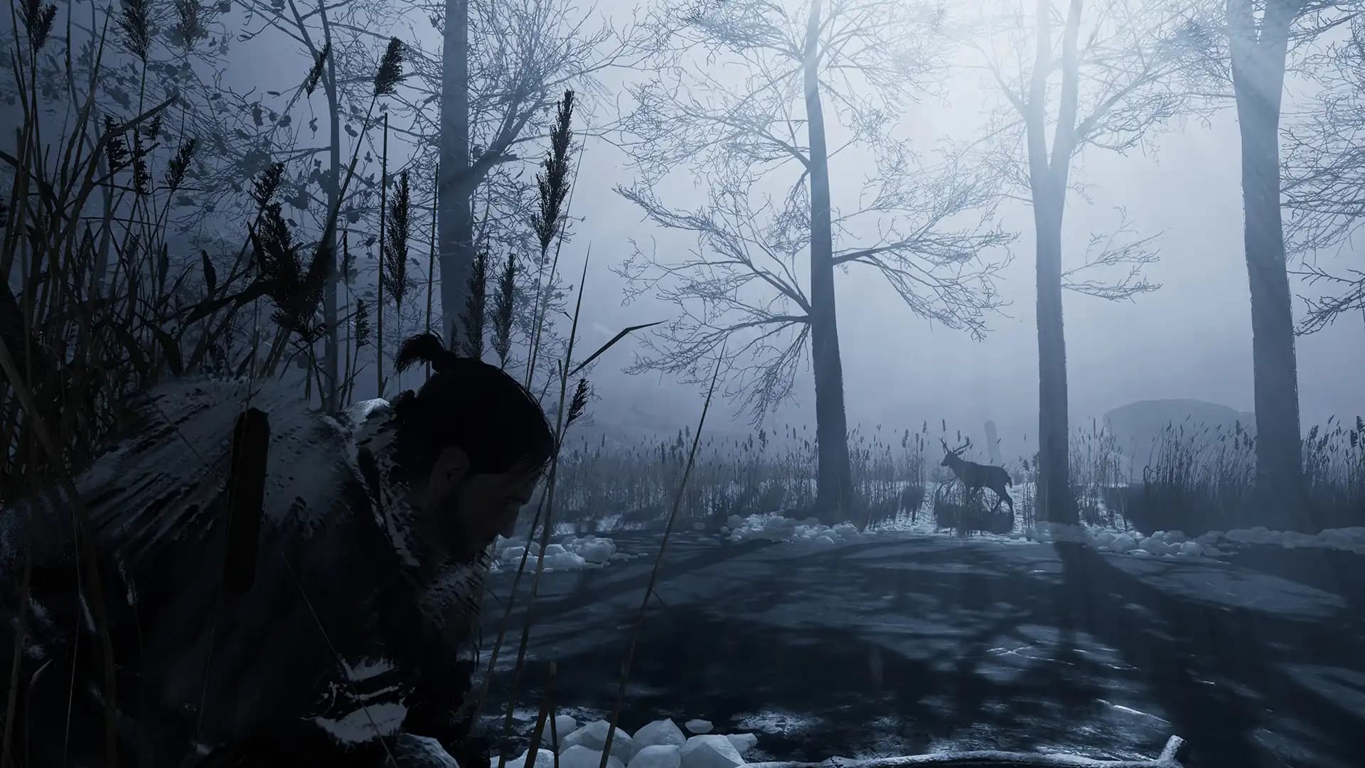 Fade to Silence media 4