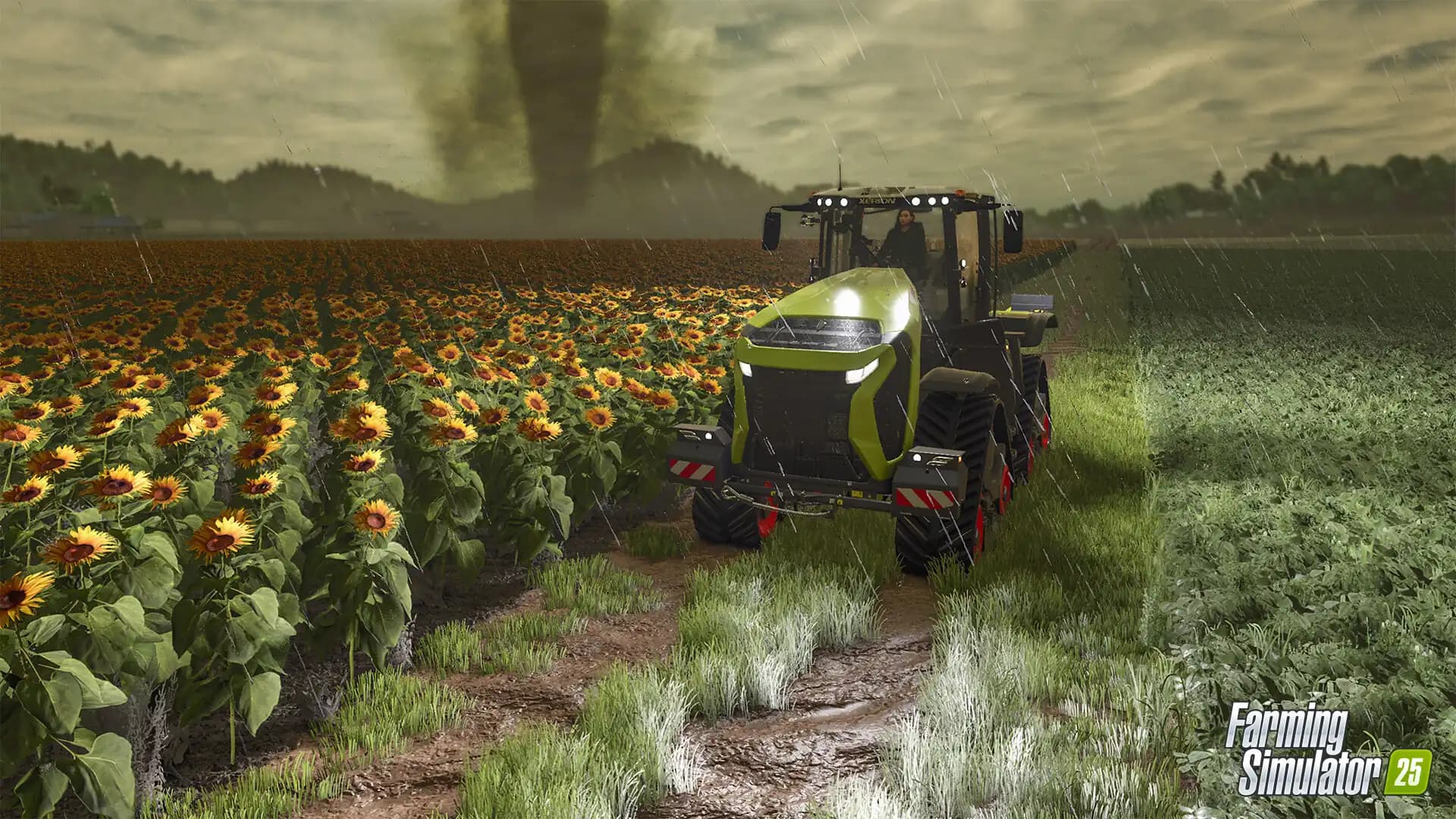 Farming Simulator 25 media 3