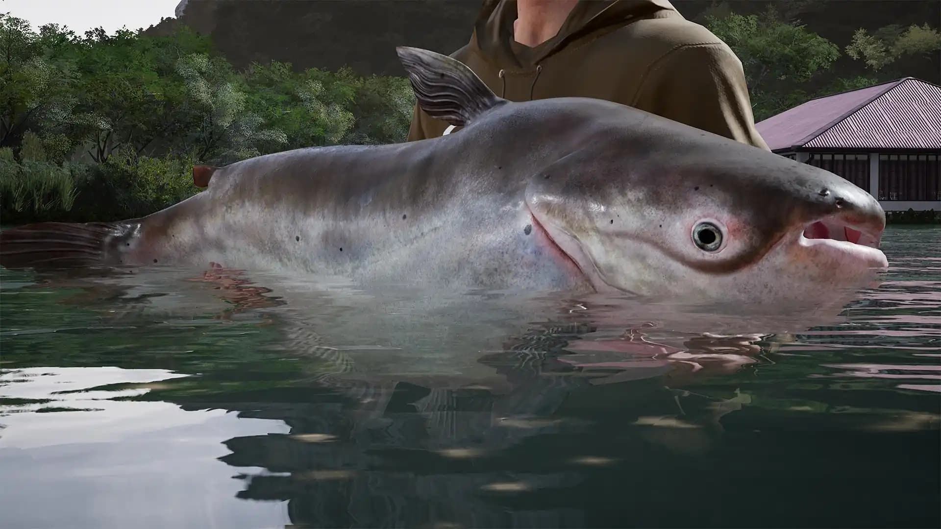 Fishing Sim World: Pro Tour - Giant Carp Pack media 5