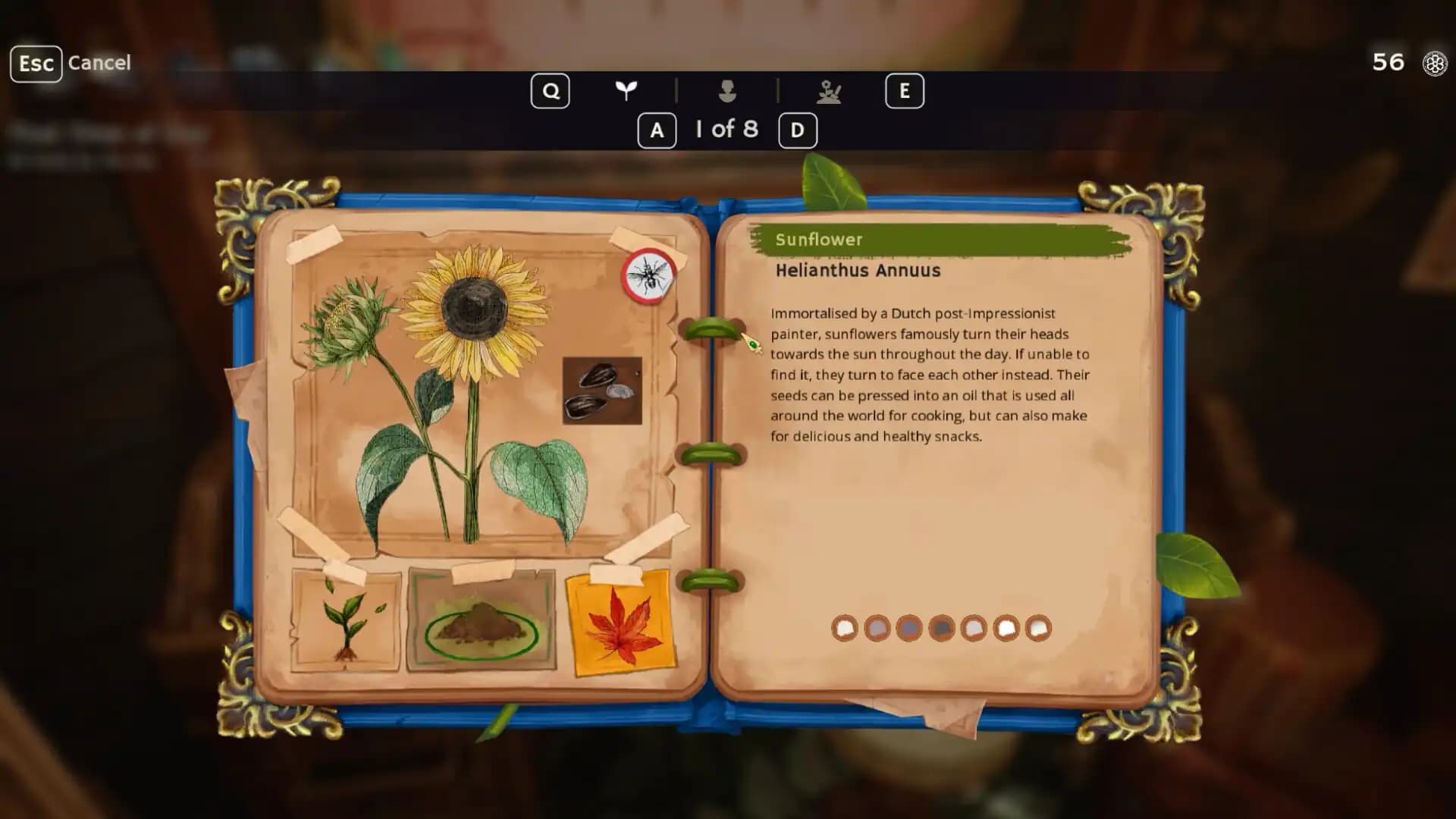 Garden Life - Supporter Edition media 5
