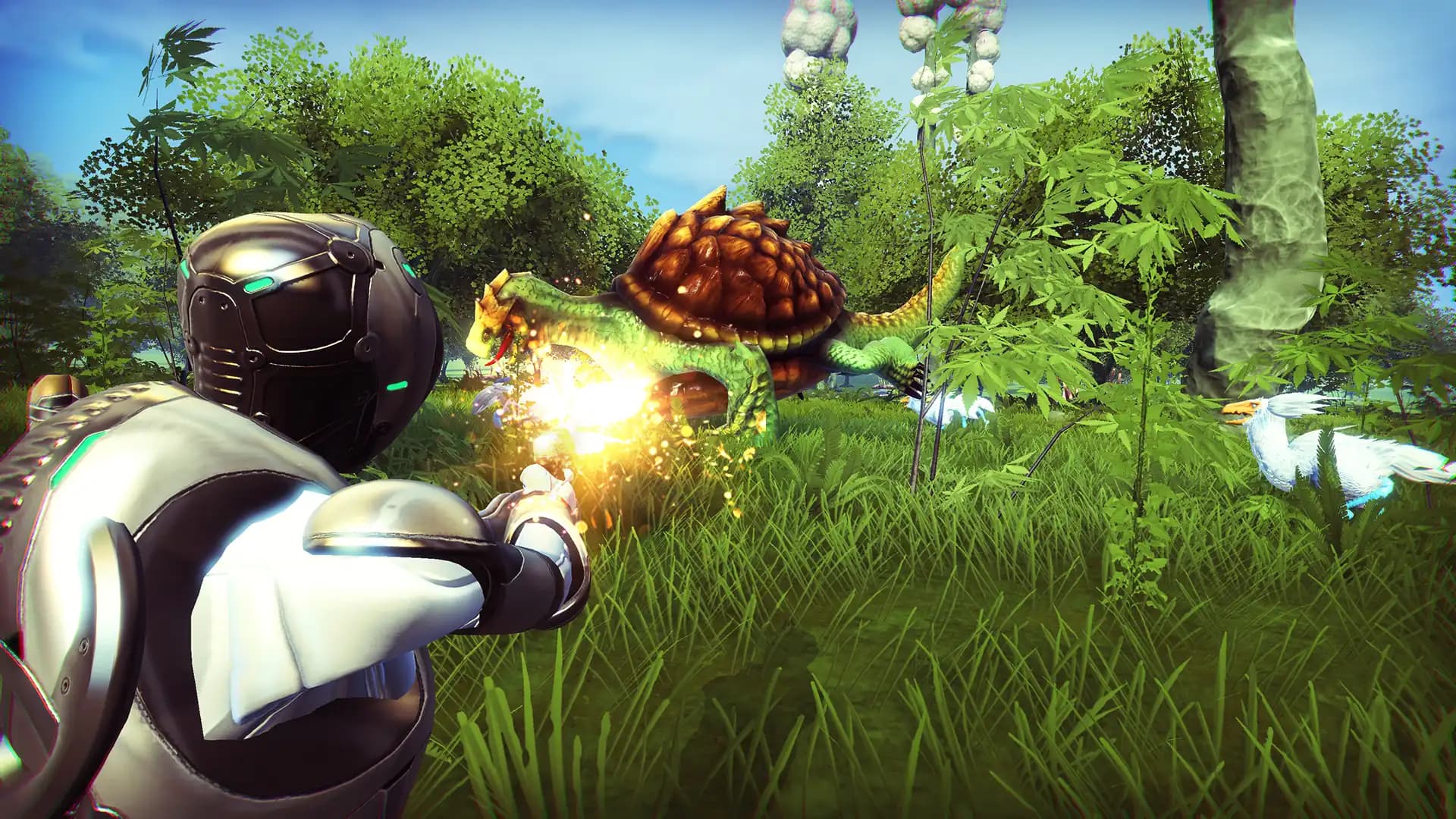 GRAV media 2