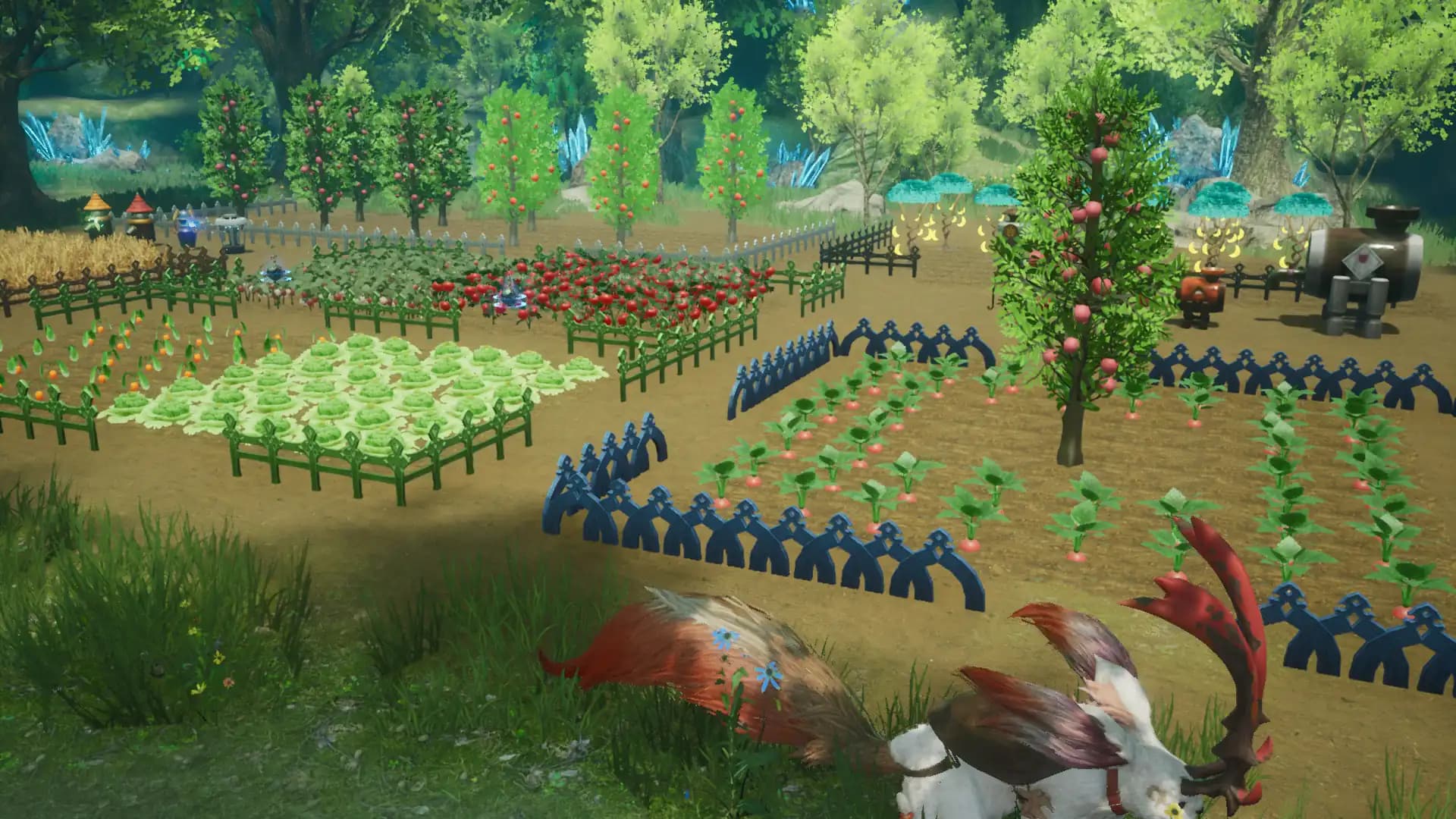 HARVESTELLA media 5