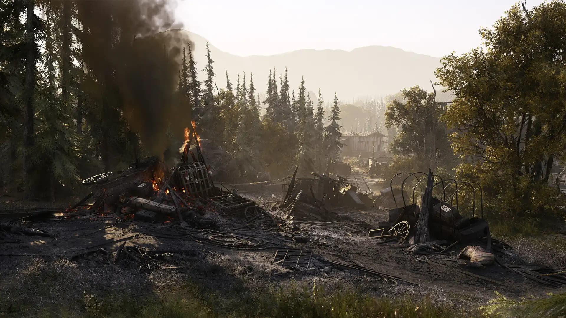 Hunt: Showdown 1896 - Starter Edition media 3