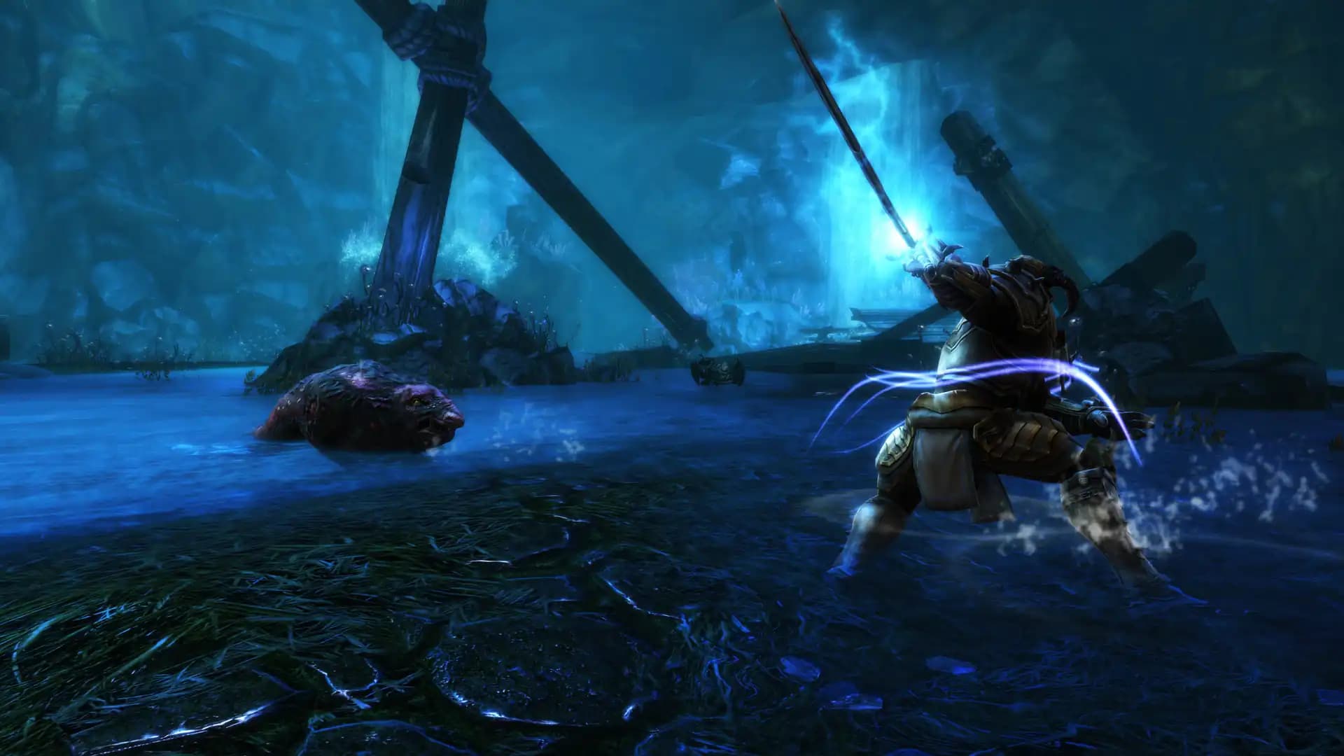 Kingdoms of Amalur: Re-Reckoning media 5