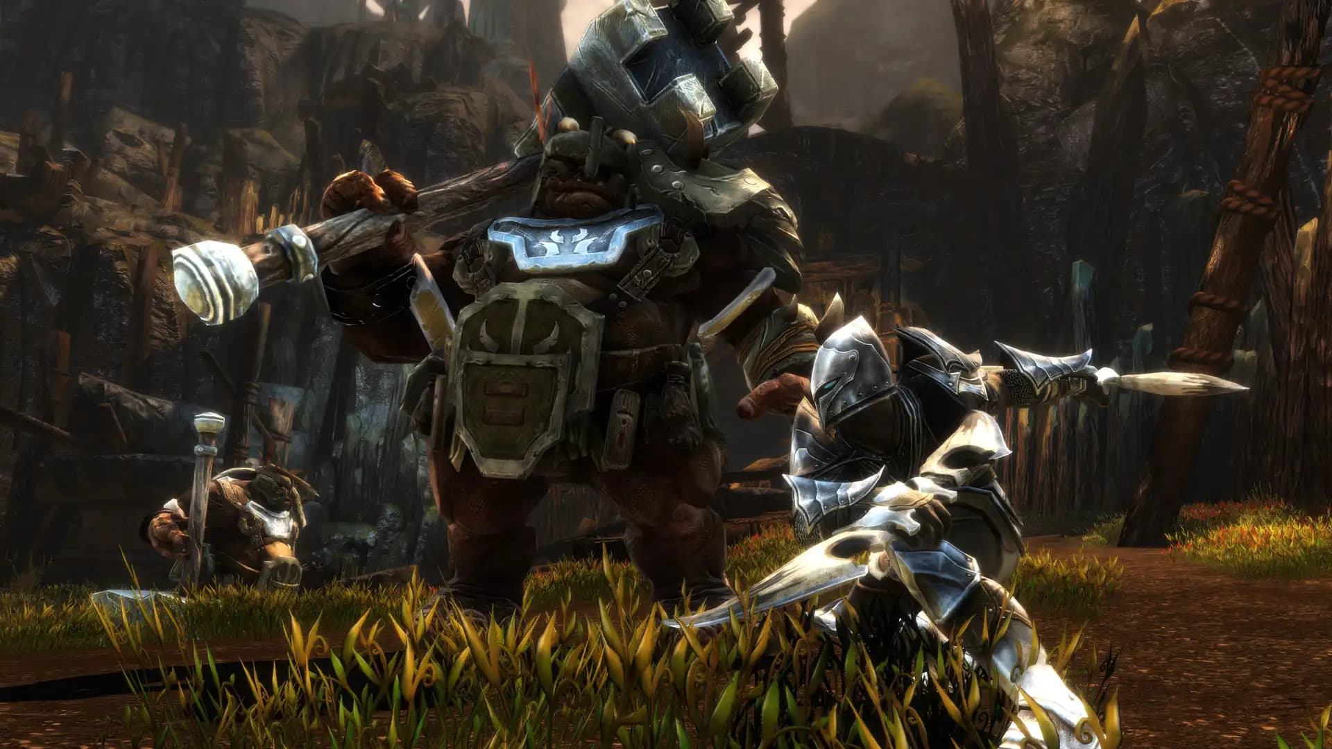Kingdoms of Amalur: Re-Reckoning Fate Edition media 2