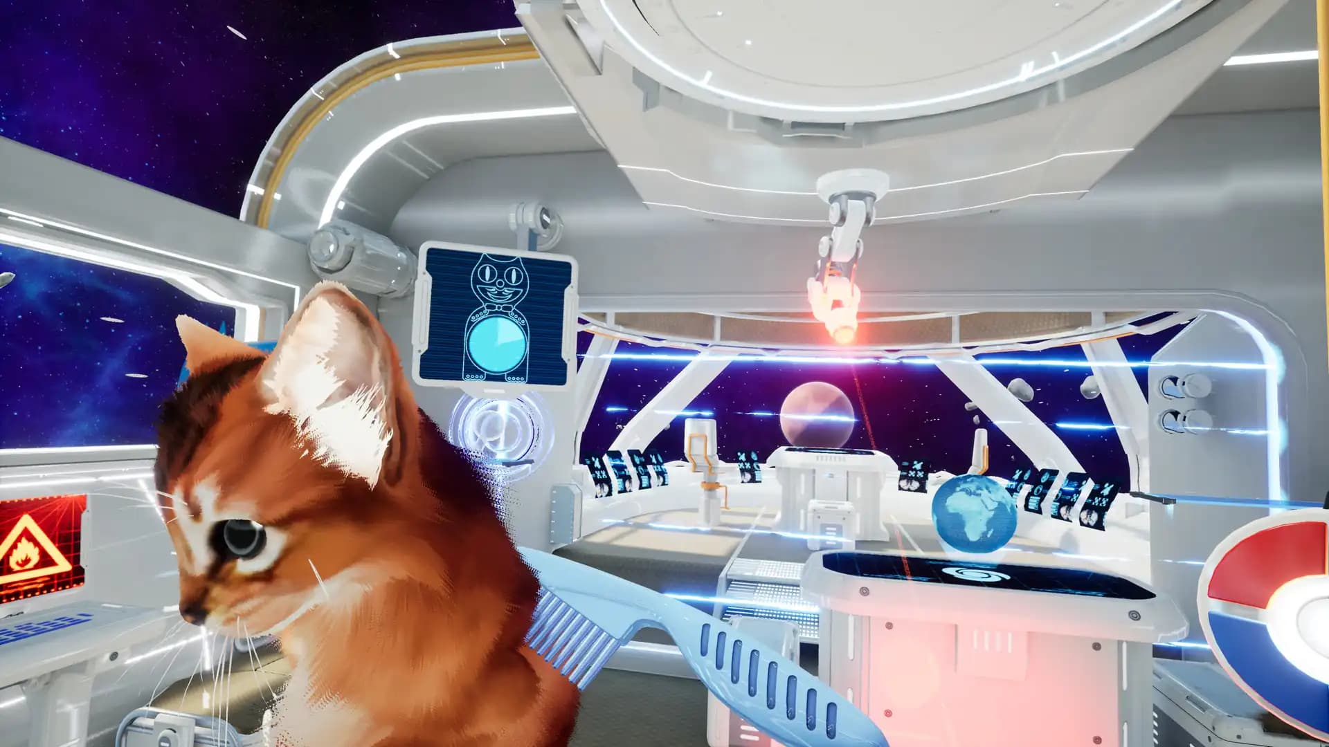Kitten'd media 4
