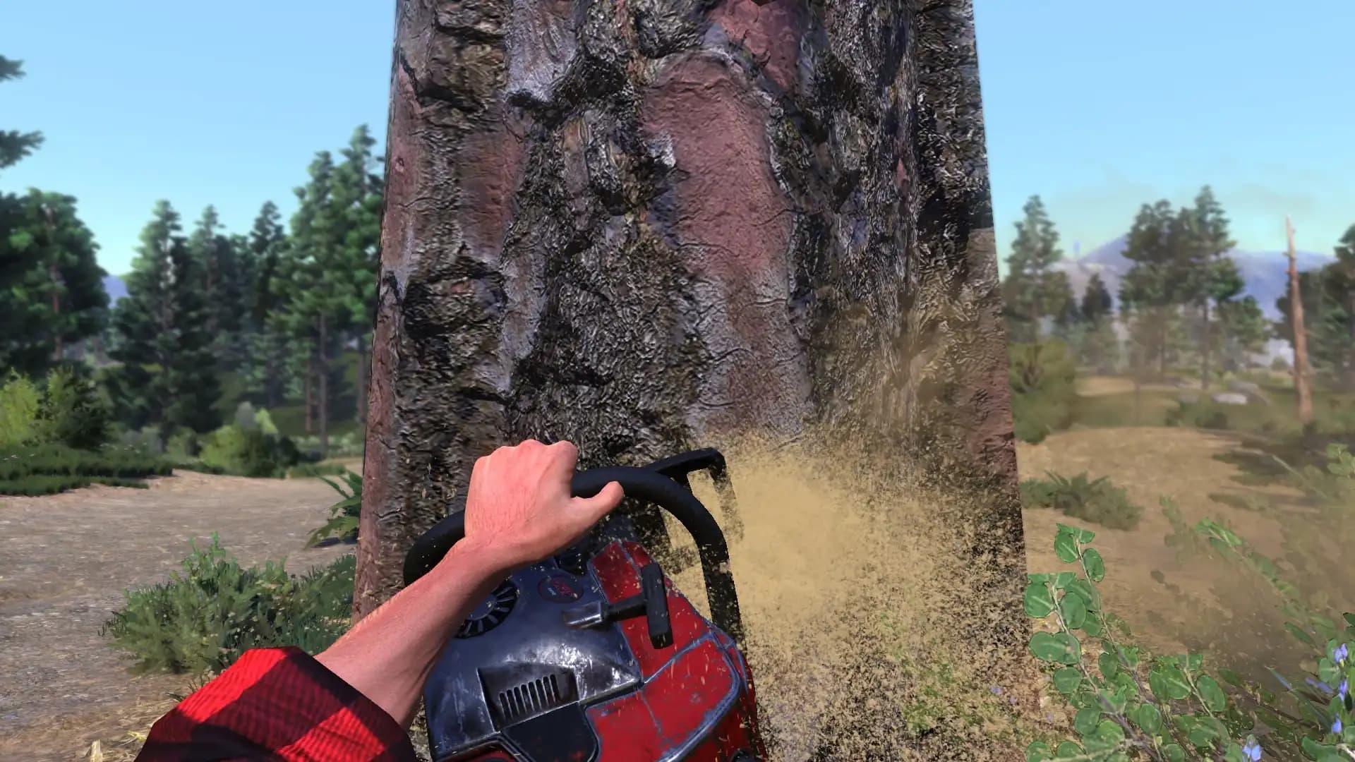 Lumberjack's Dynasty media 1
