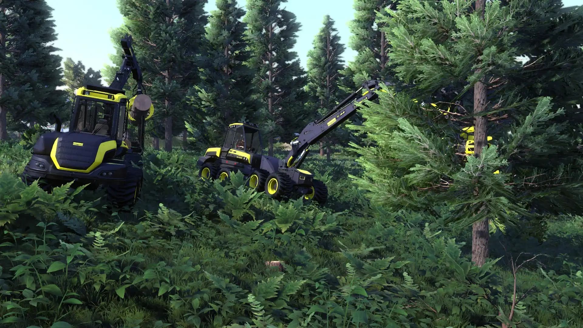 Lumberjack's Dynasty media 3