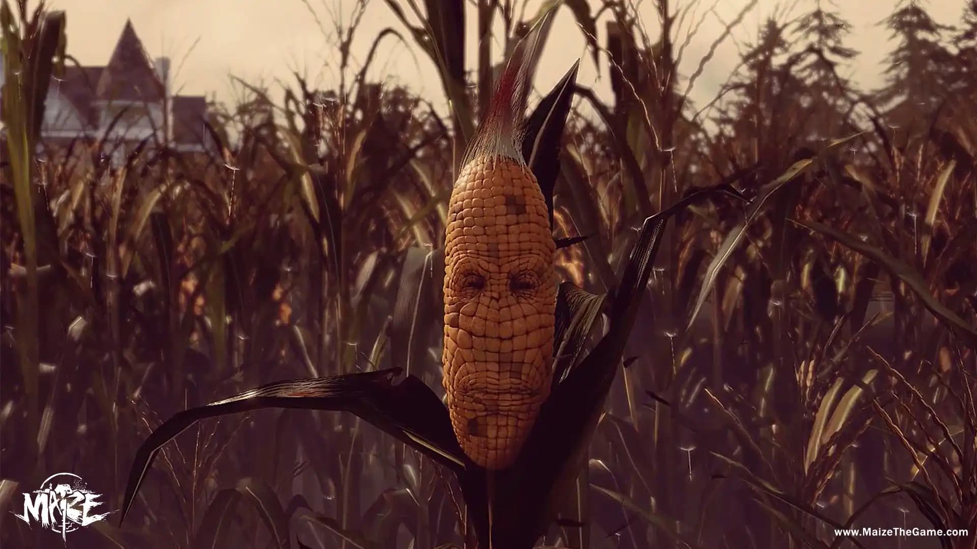 Maize media 1