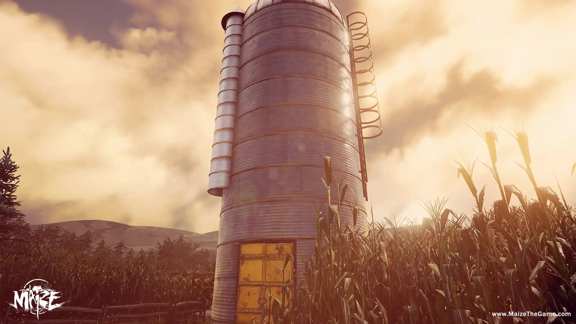 Maize media 5