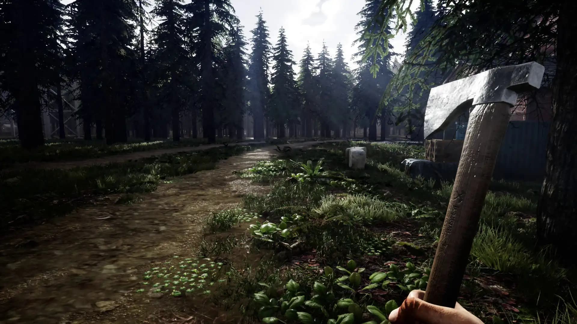 Mist Survival media 4
