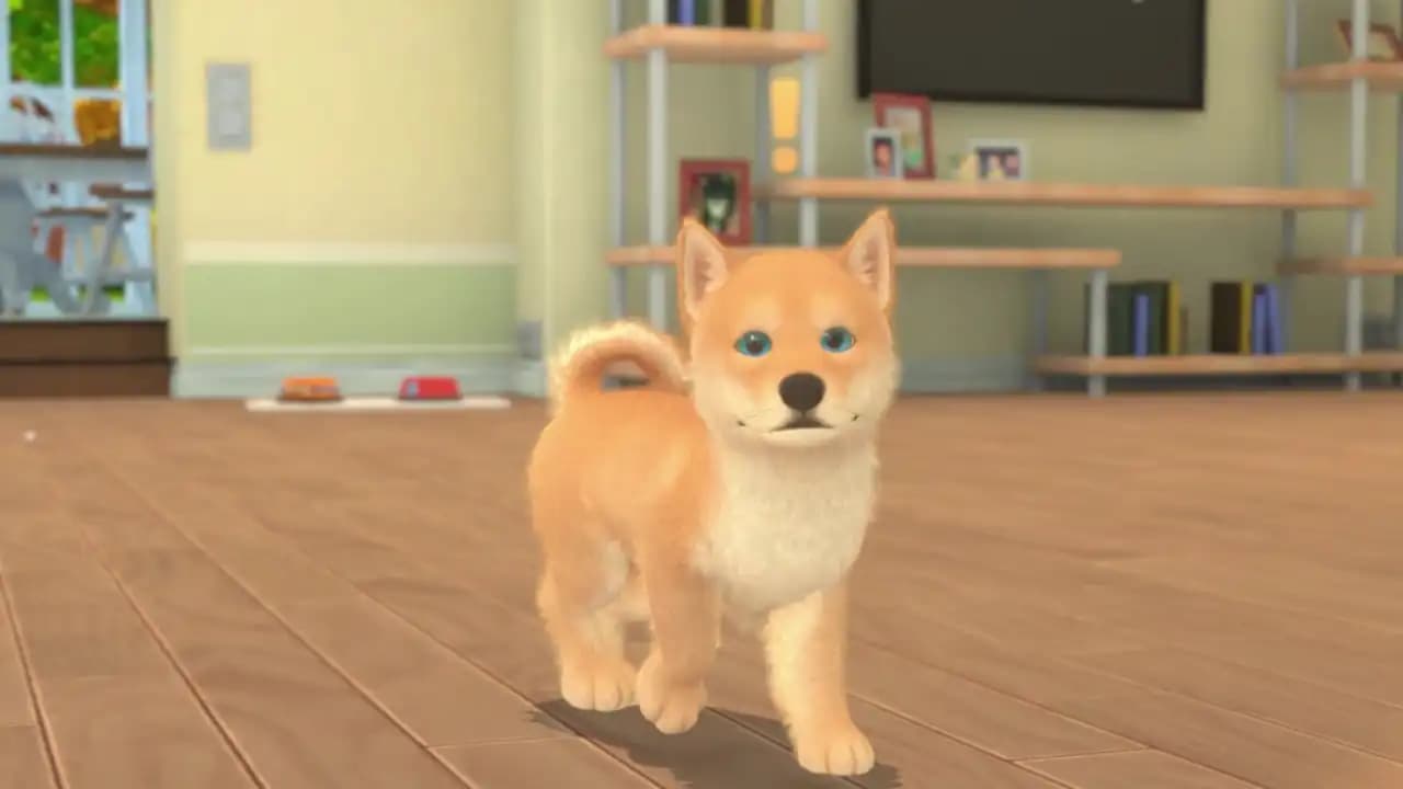 My Universe - Puppies & Kittens media 2