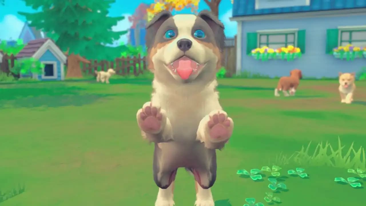 My Universe - Puppies & Kittens media 4