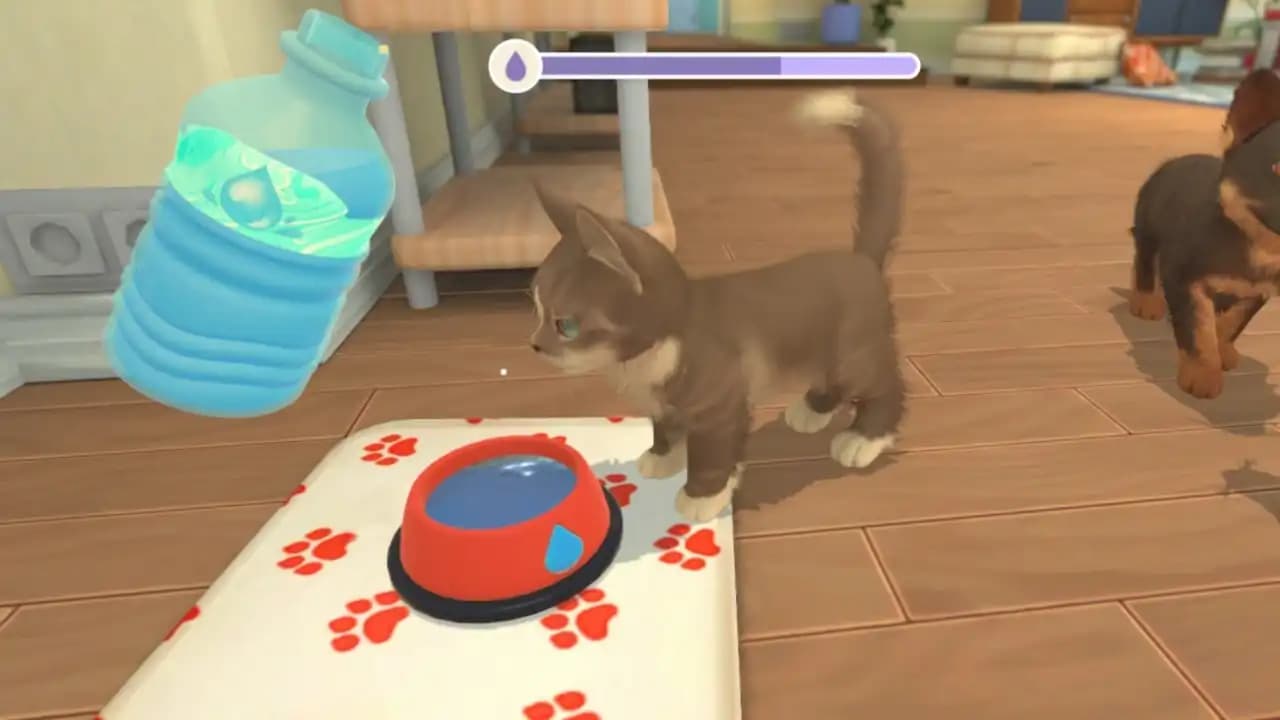 My Universe - Puppies & Kittens media 5