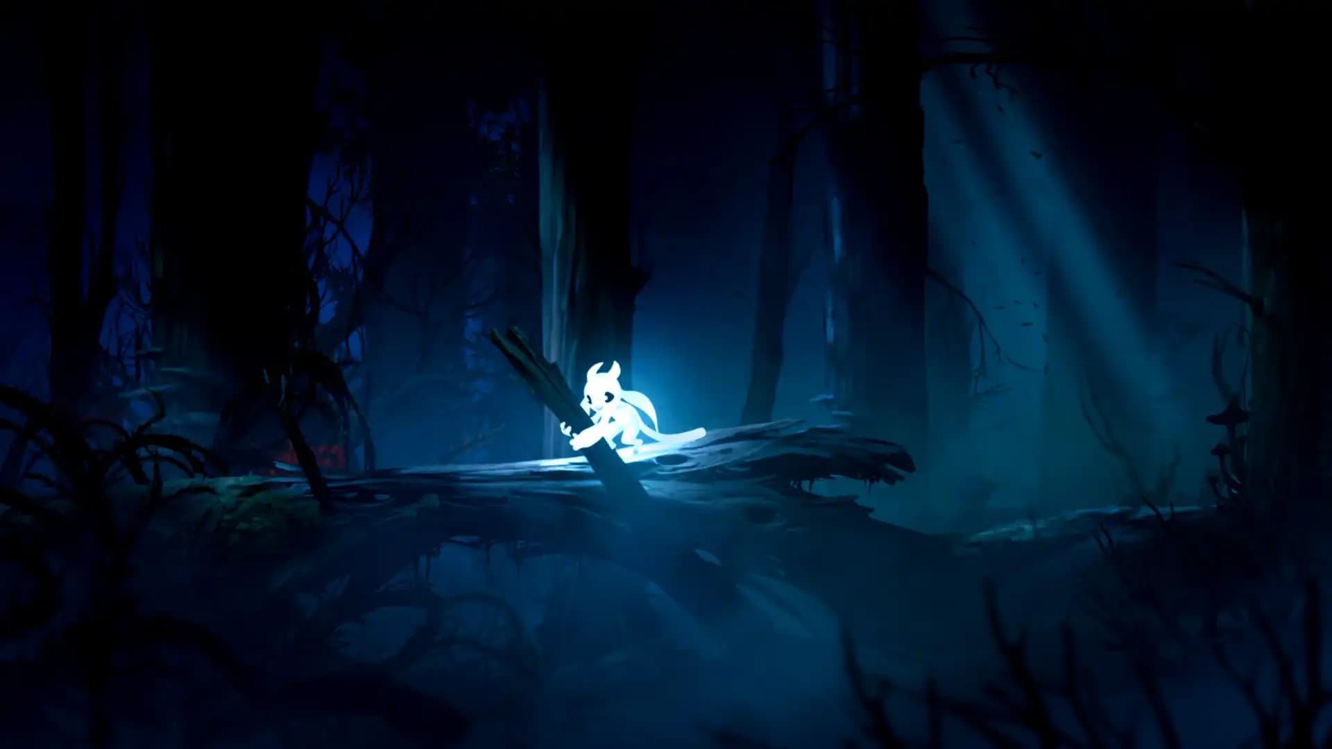 Ori and the Blind Forest Definitive Edition media 1
