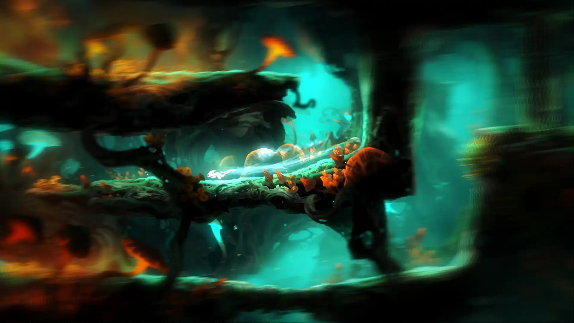 Ori and the Blind Forest Definitive Edition media 3