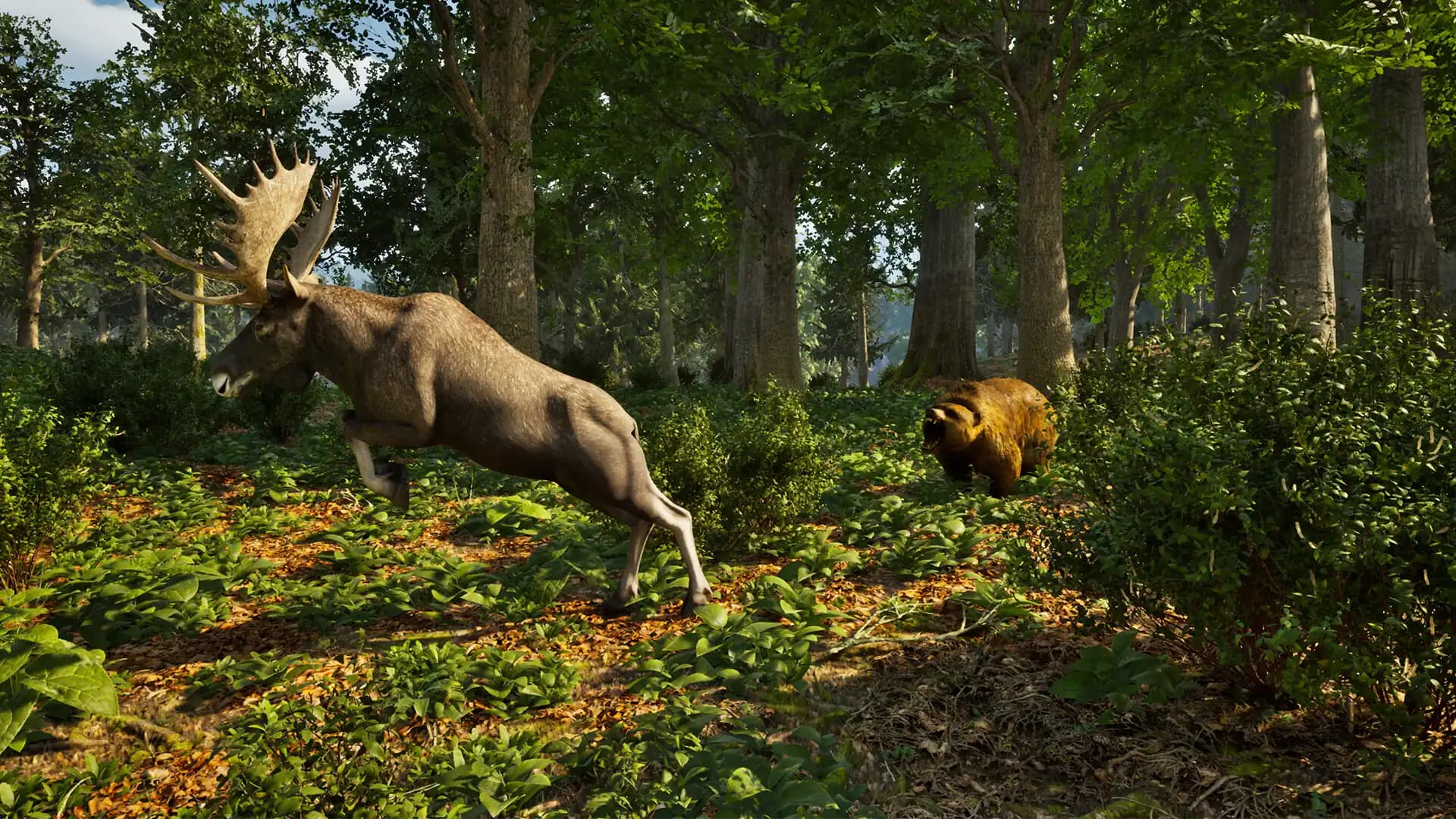 Park Ranger Simulator media 3