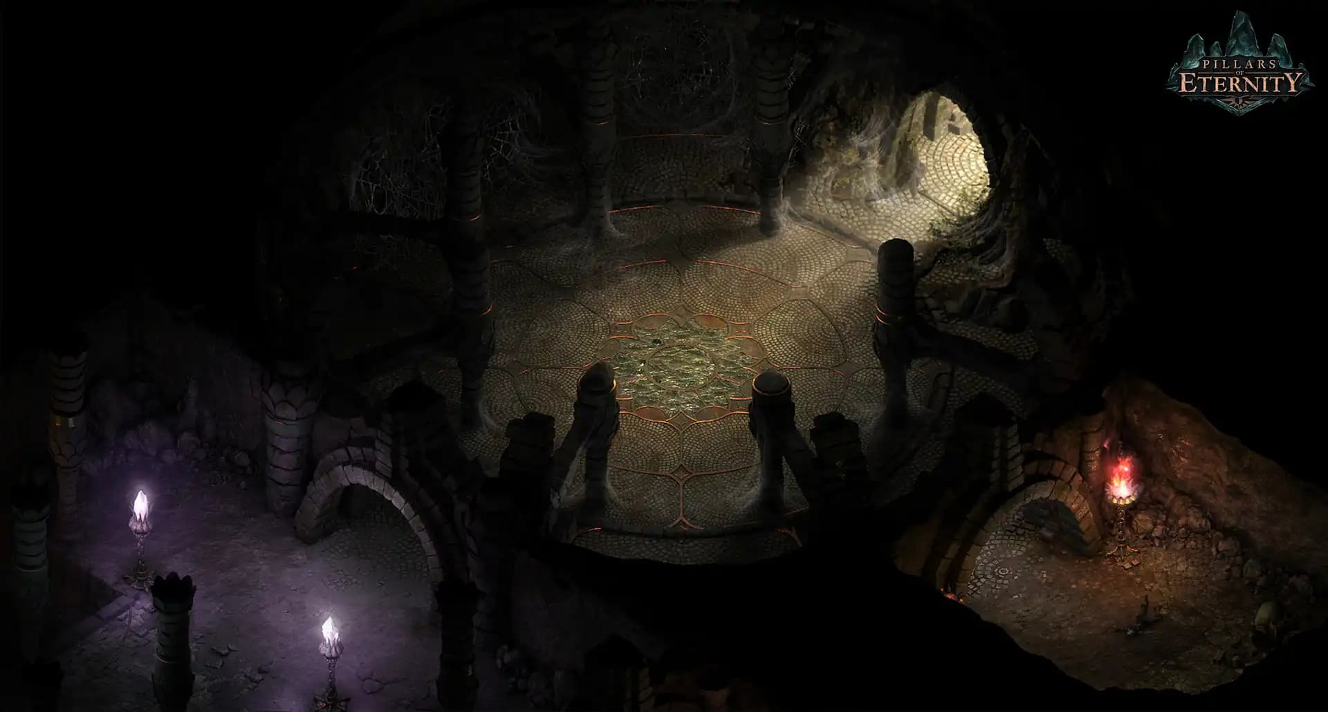 Pillars of Eternity: Hero Edition media 3