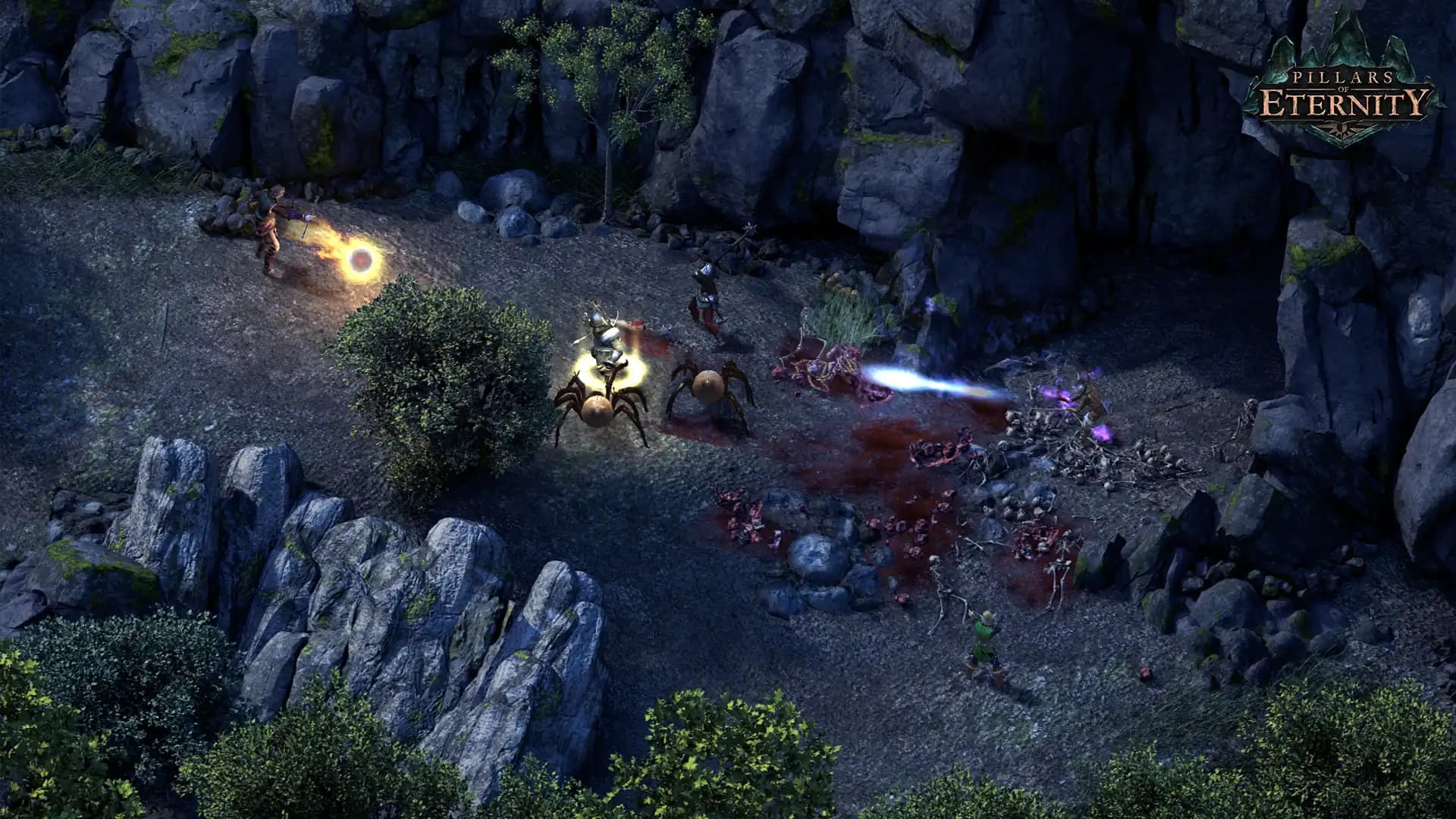 Pillars of Eternity: Hero Edition media 4