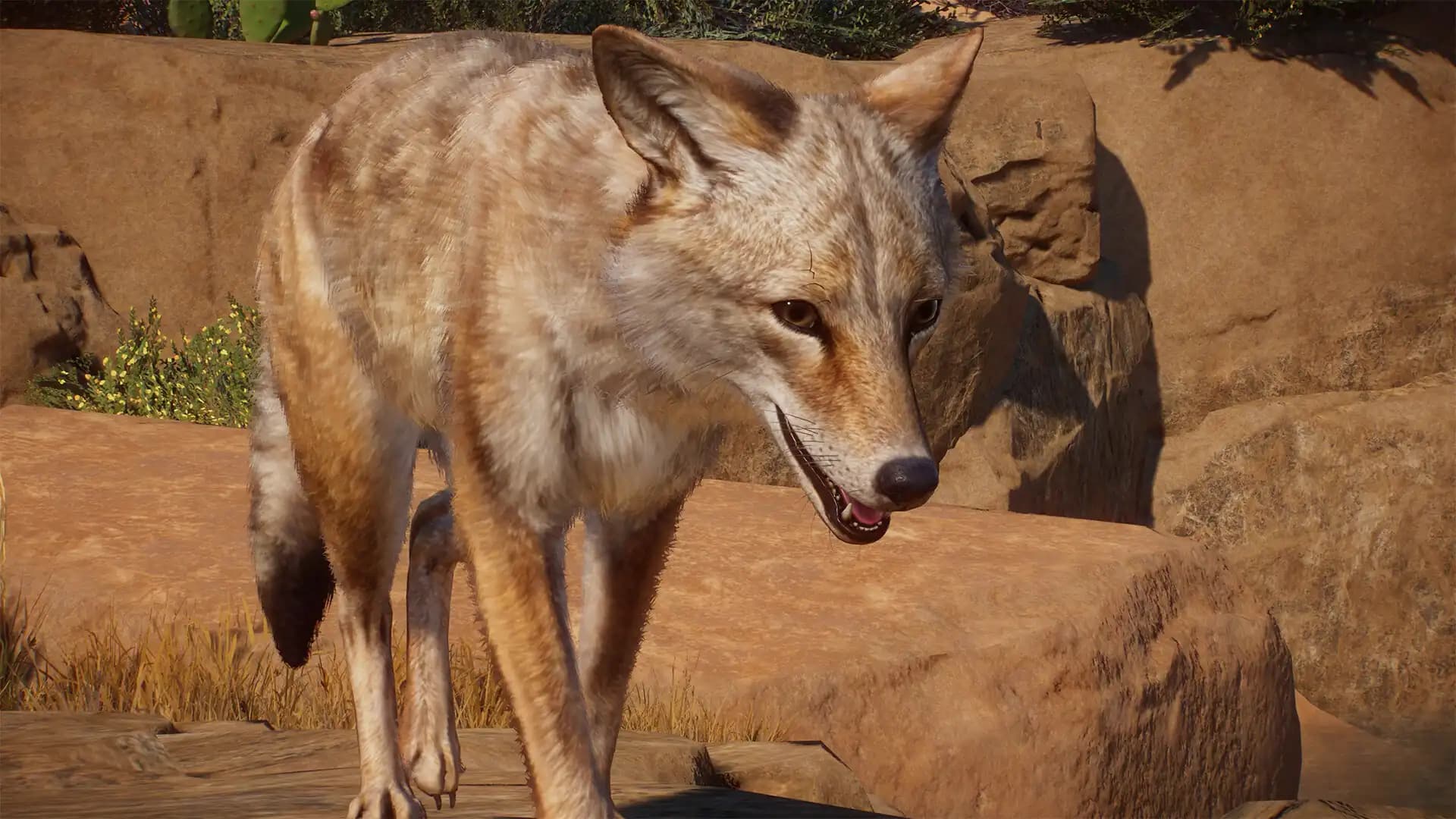 Planet Zoo: Americas Animal Pack media 1