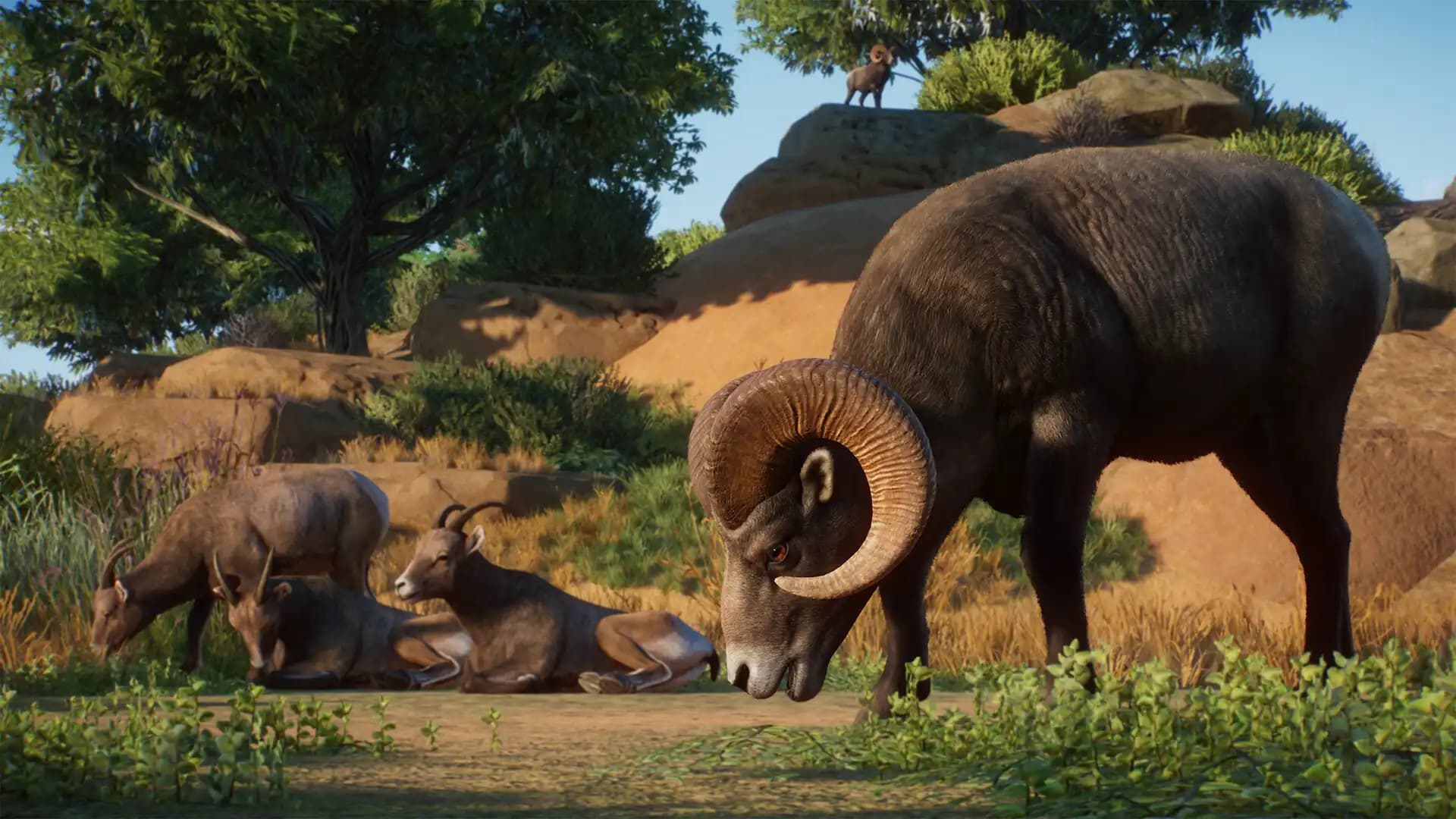 Planet Zoo: Americas Animal Pack media 2