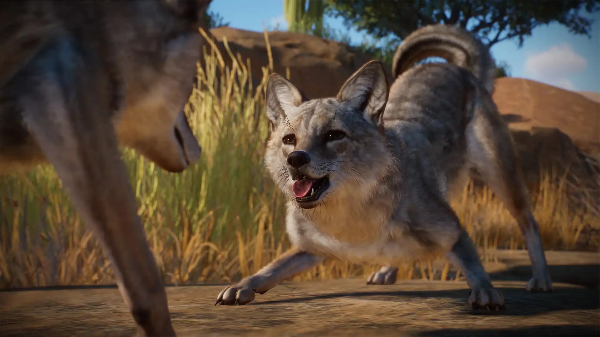 Planet Zoo: Americas Animal Pack media 5