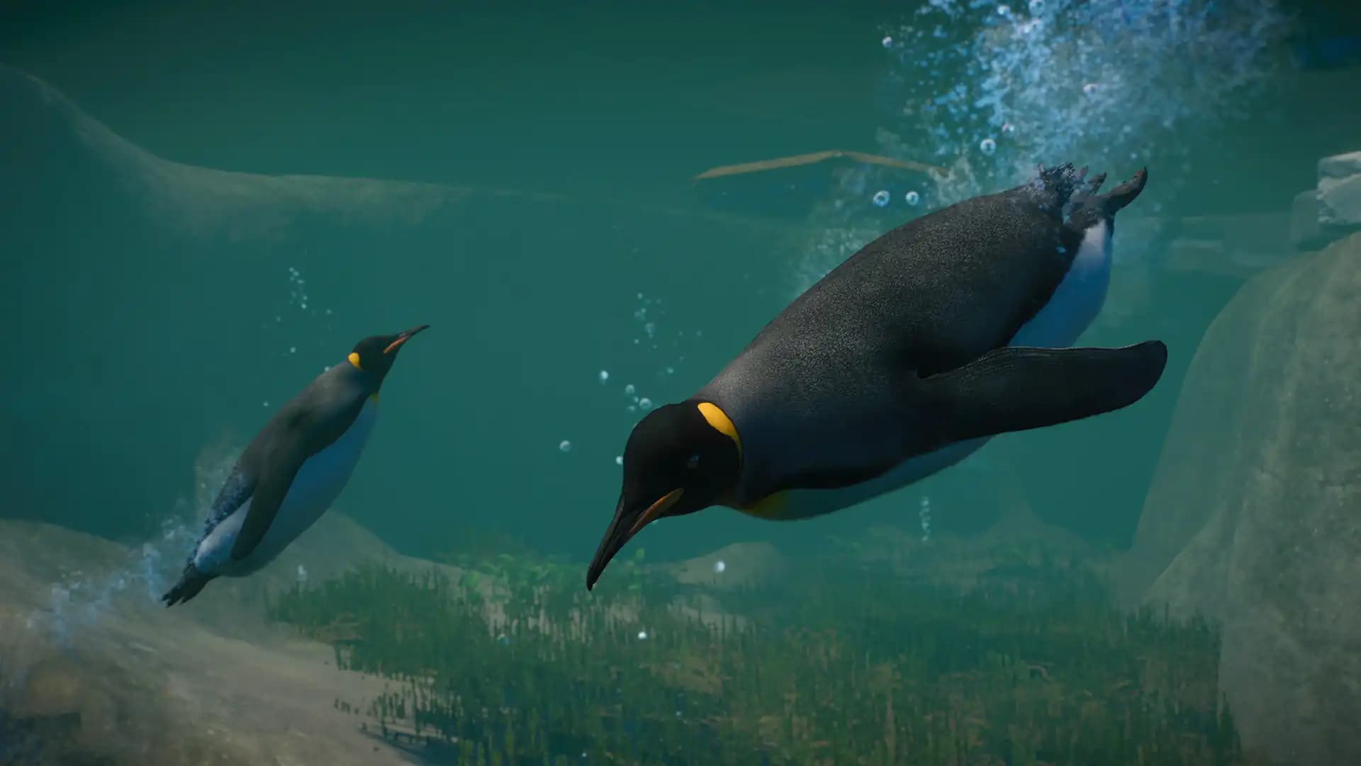 Planet Zoo: Aquatic Pack media 2
