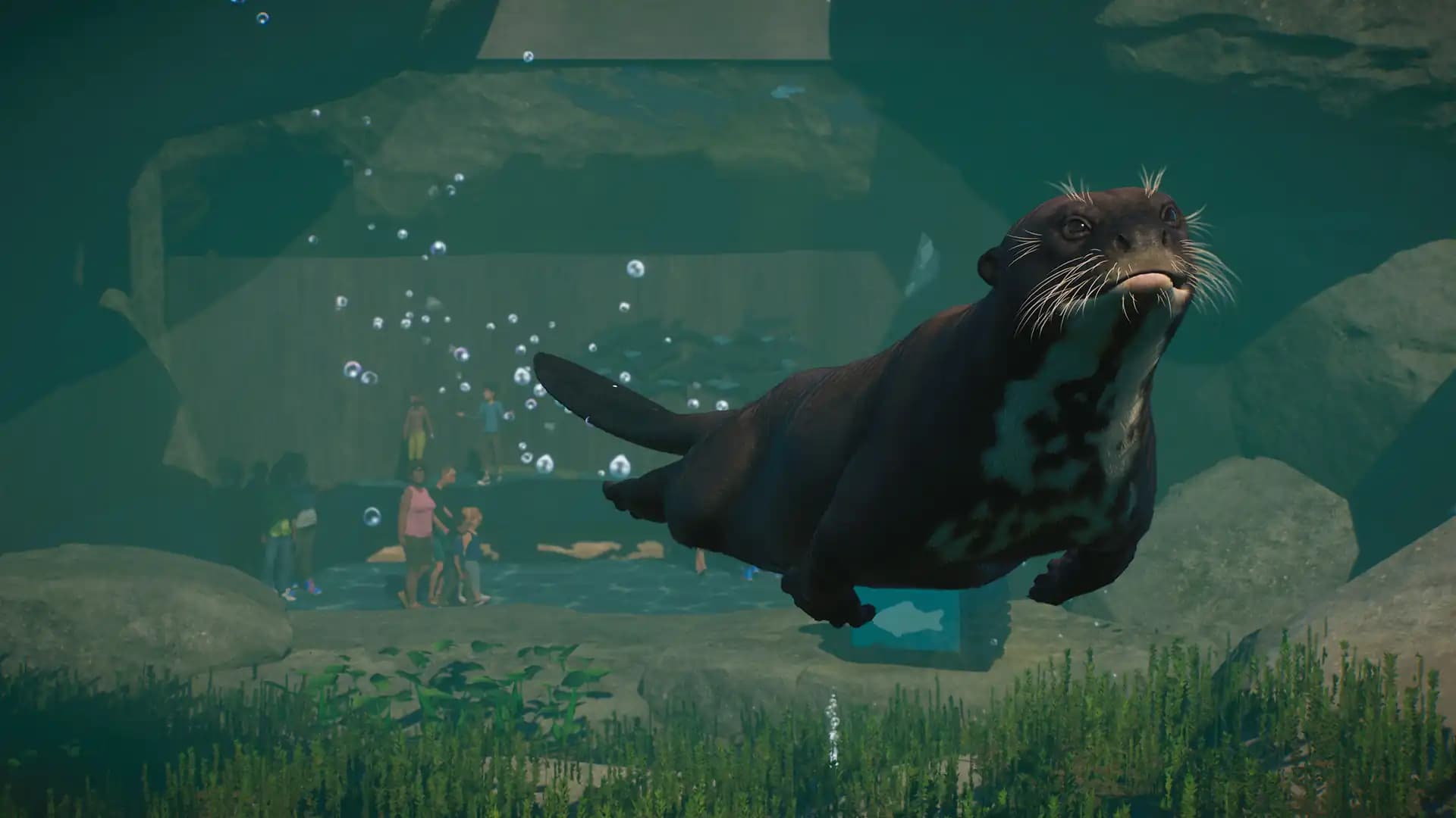 Planet Zoo: Aquatic Pack media 5