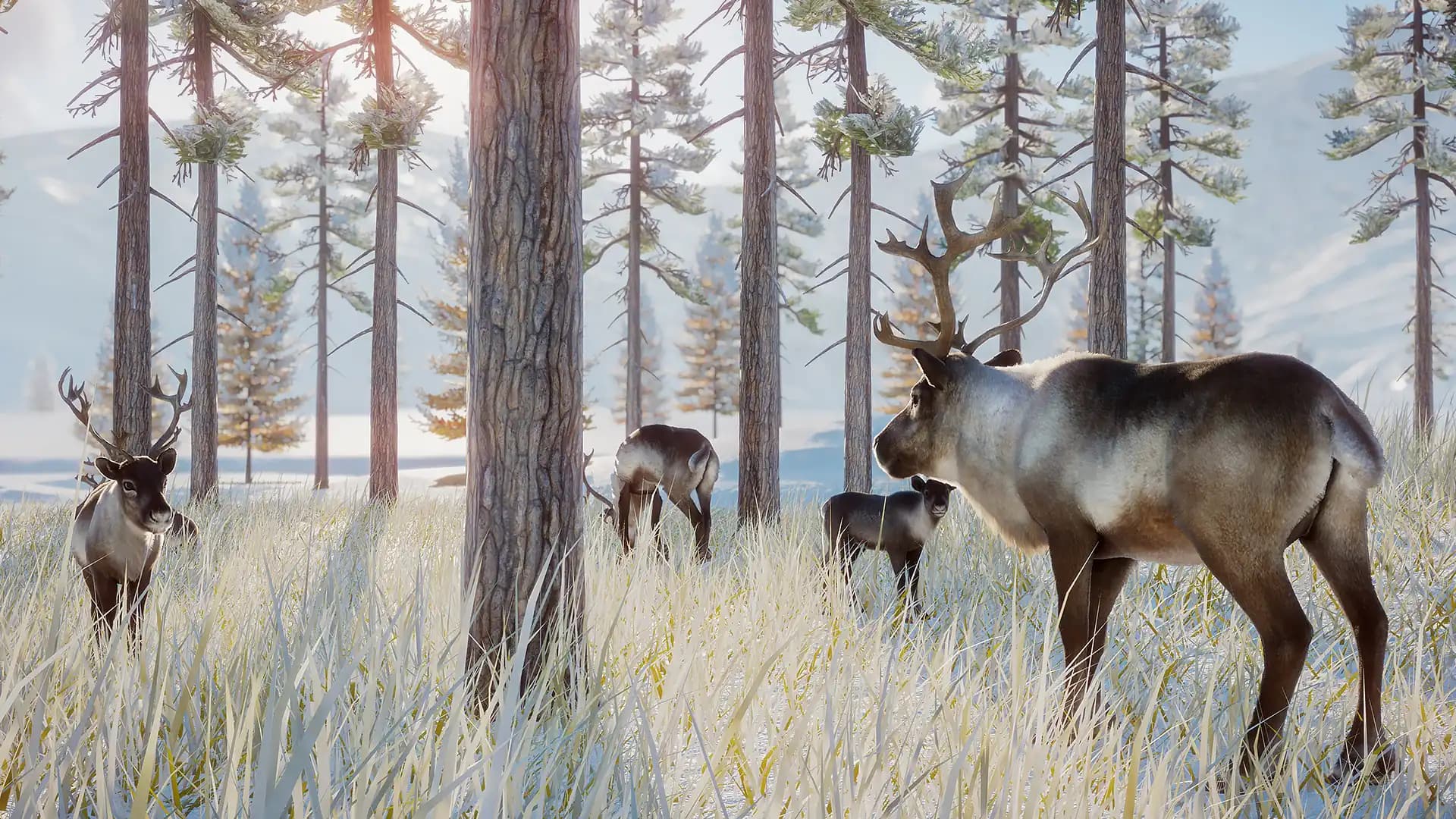 Planet Zoo: Arctic Pack media 3