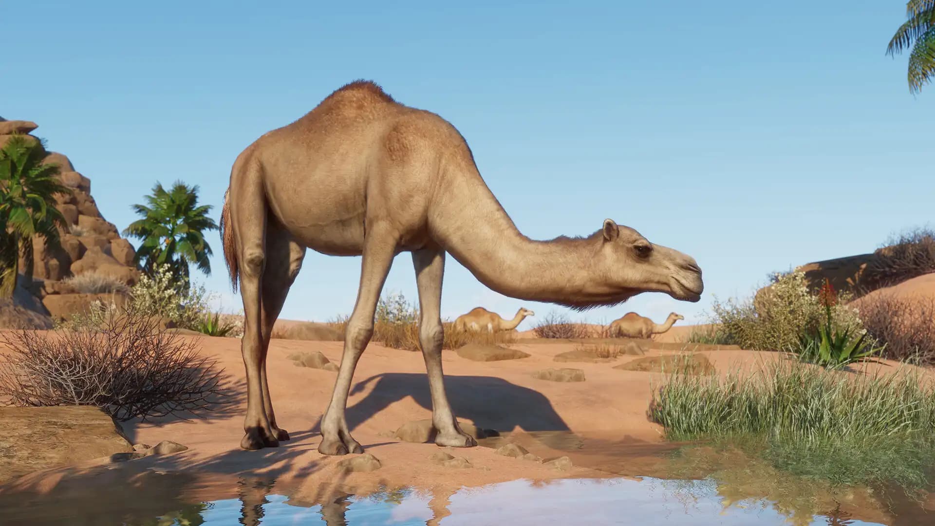 Planet Zoo: Arid Animal Pack media 1