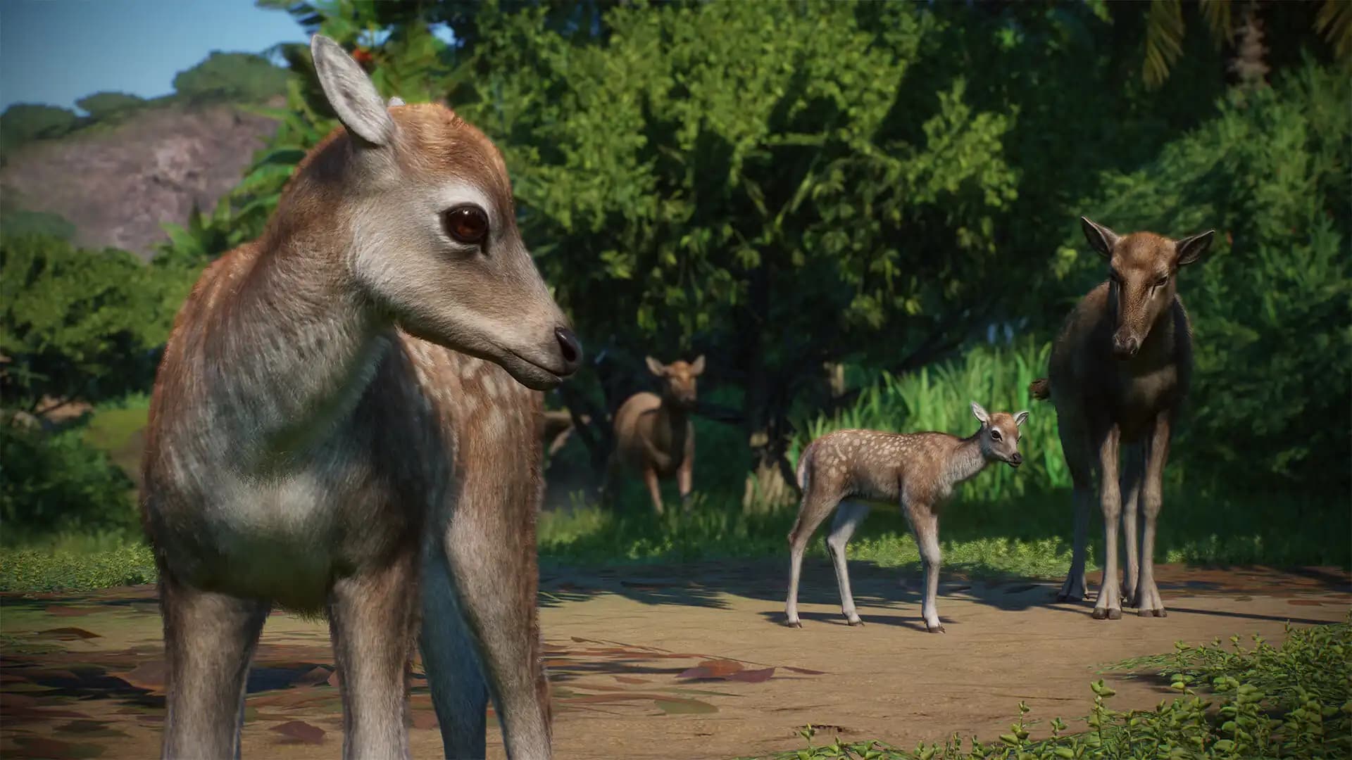 Planet Zoo: Asia Animal Pack media 3