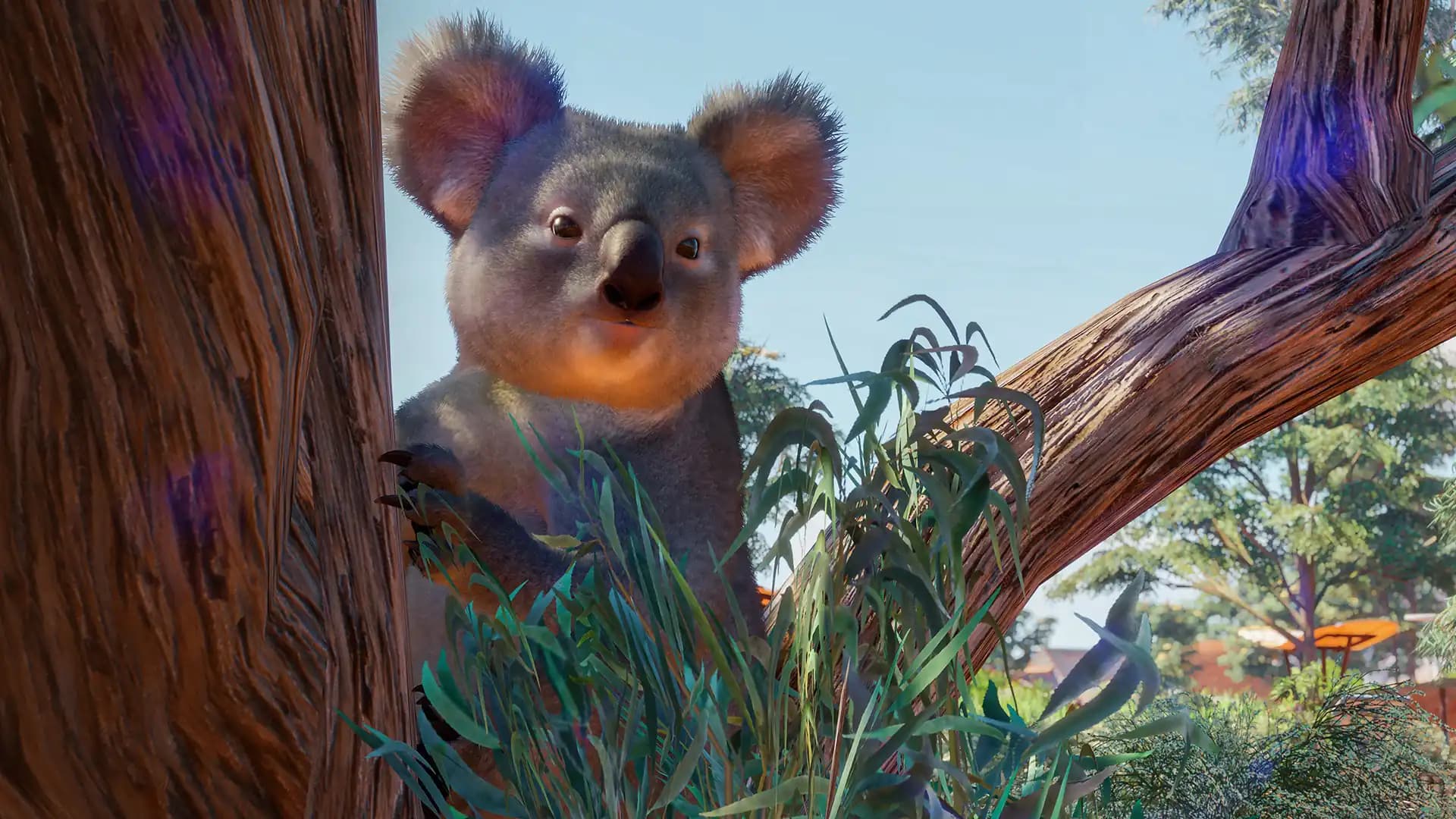 Planet Zoo: Australia Pack media 2