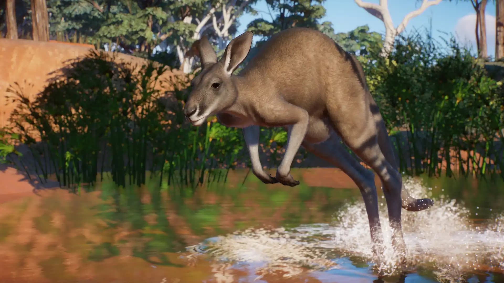 Planet Zoo: Australia Pack media 4