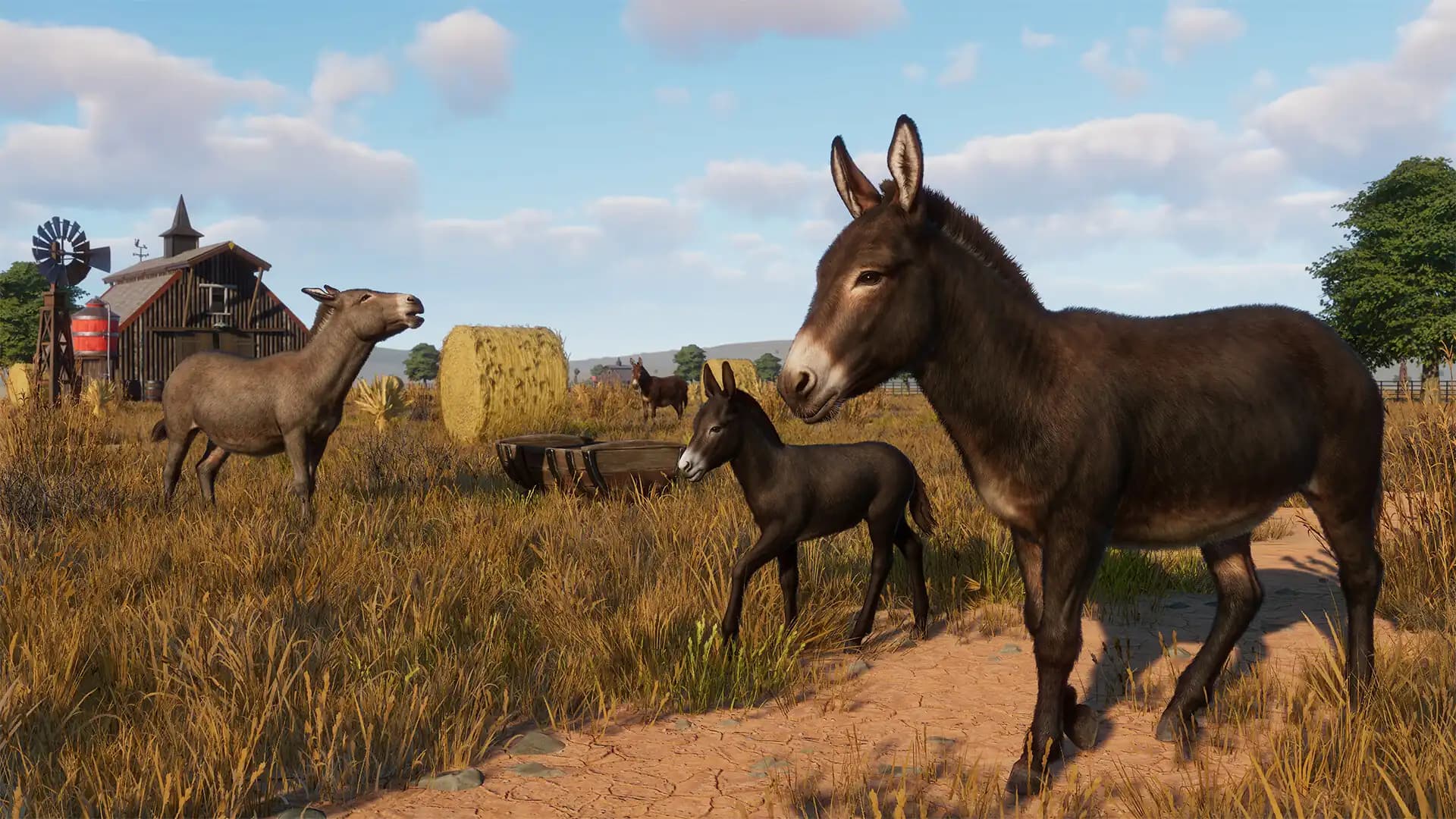 Planet Zoo: Barnyard Animal Pack media 4