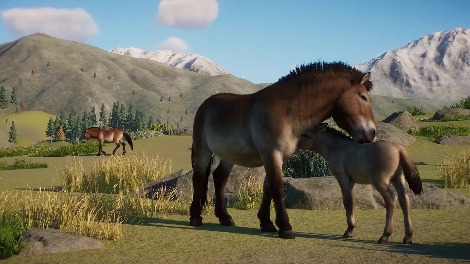 Planet Zoo: Conservation Pack media 1