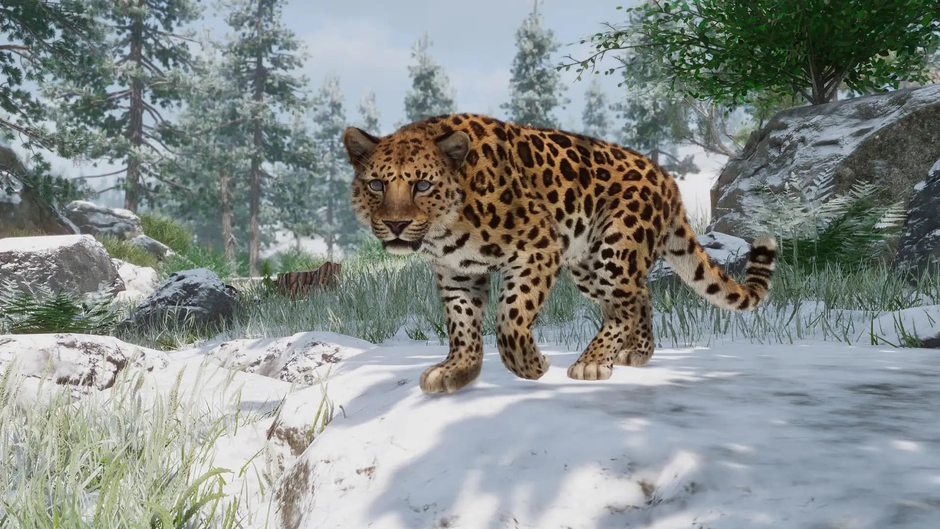Planet Zoo: Conservation Pack media 5