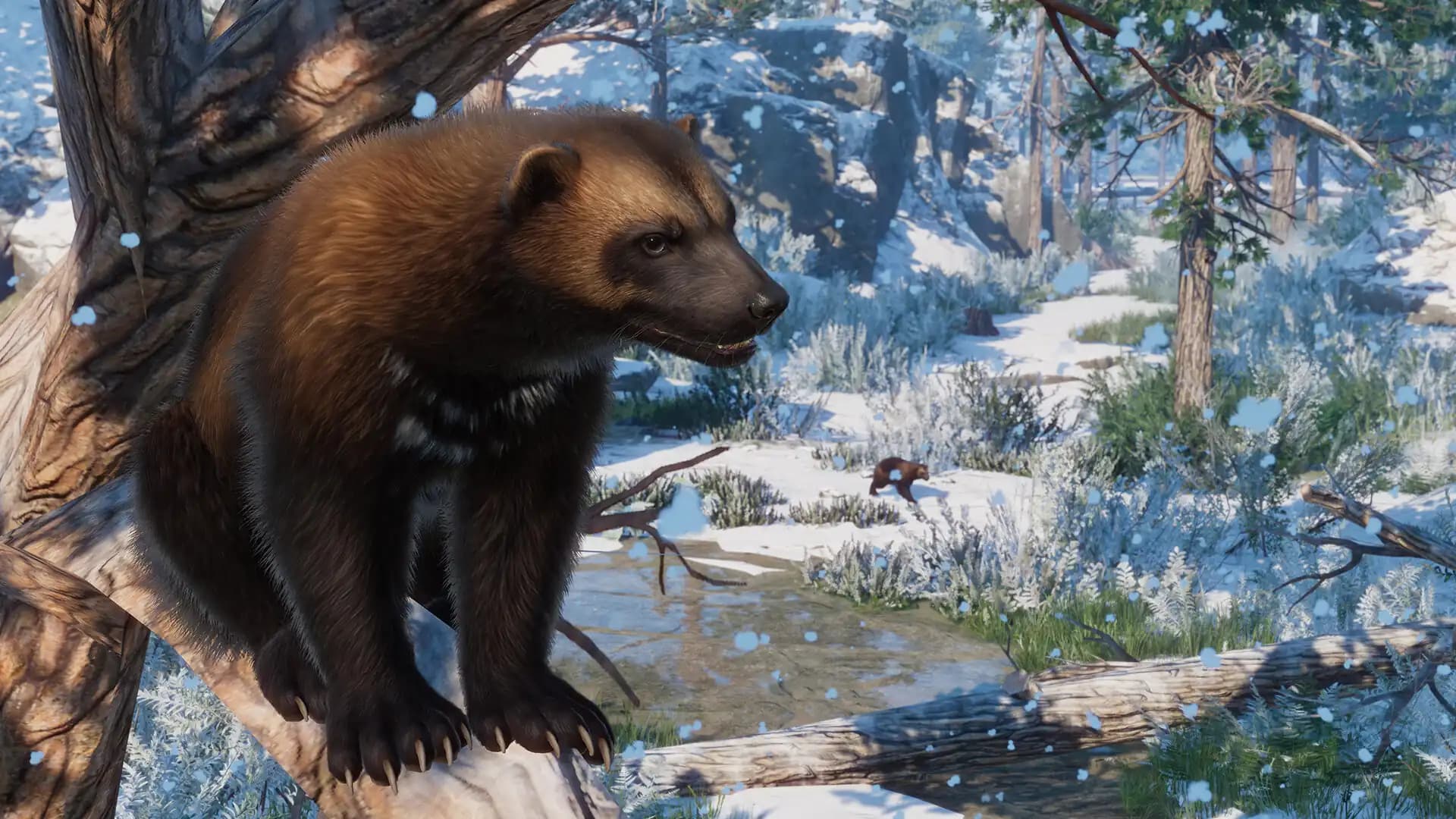 Planet Zoo: Eurasia Animal Pack media 3