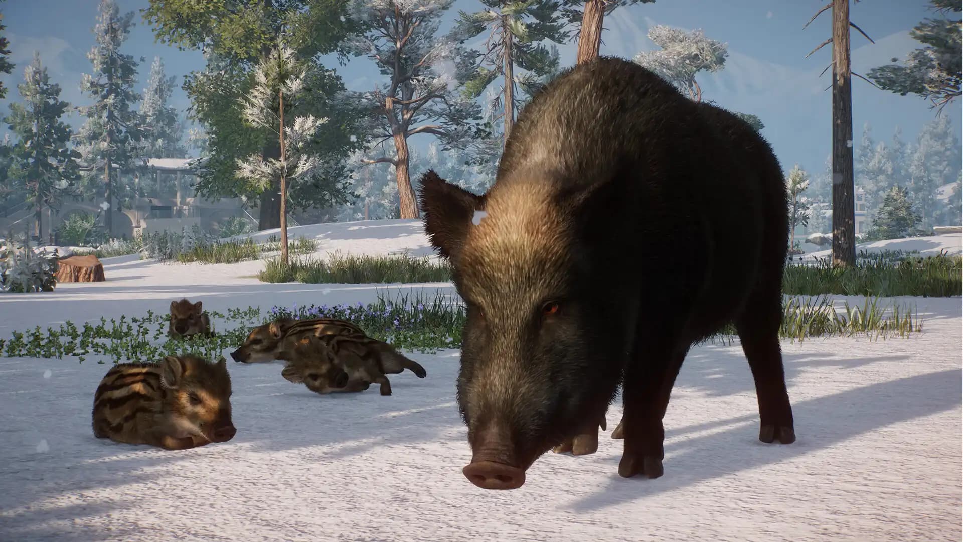 Planet Zoo: Eurasia Animal Pack media 4