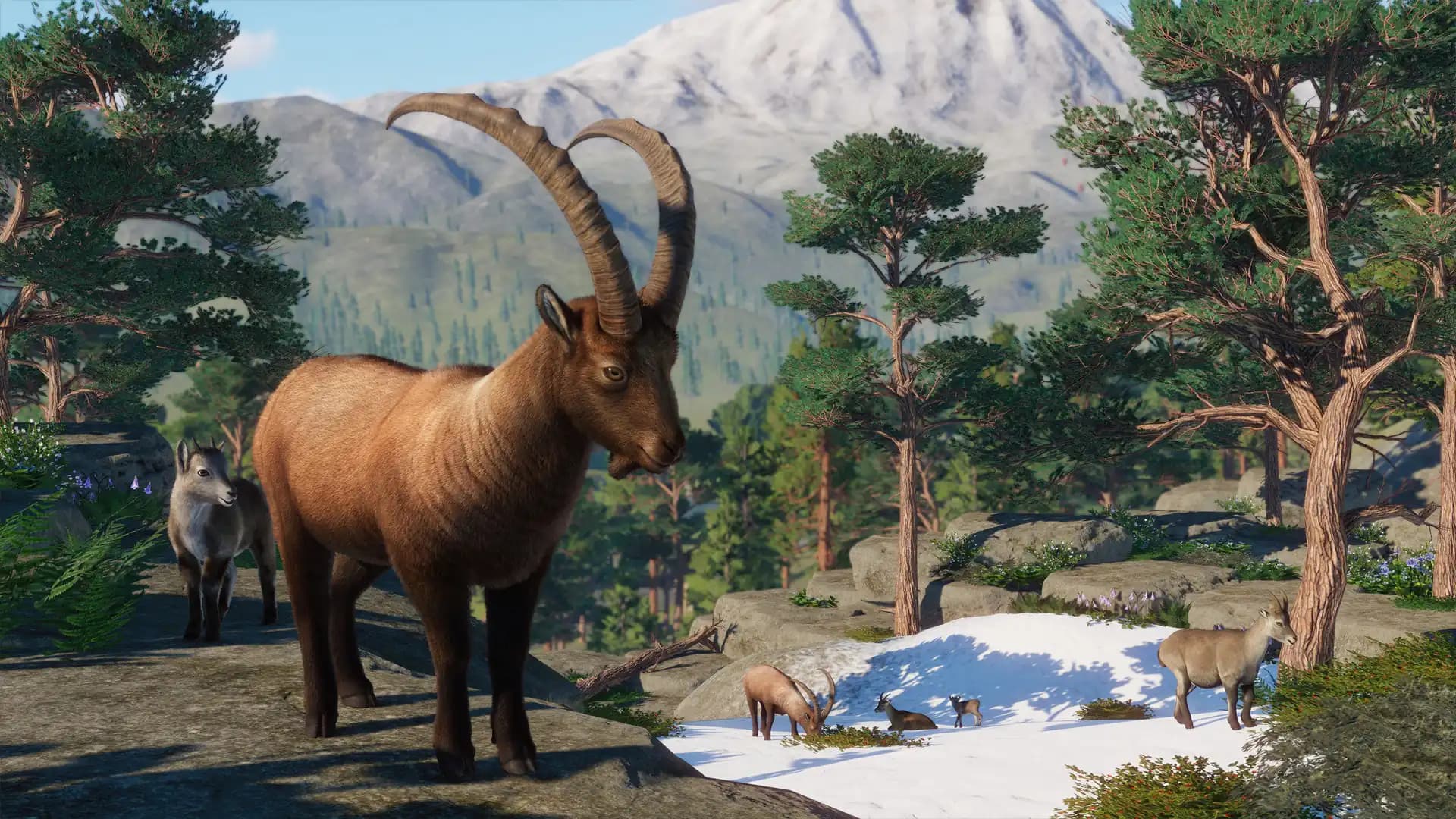 Planet Zoo: Europe Pack media 3