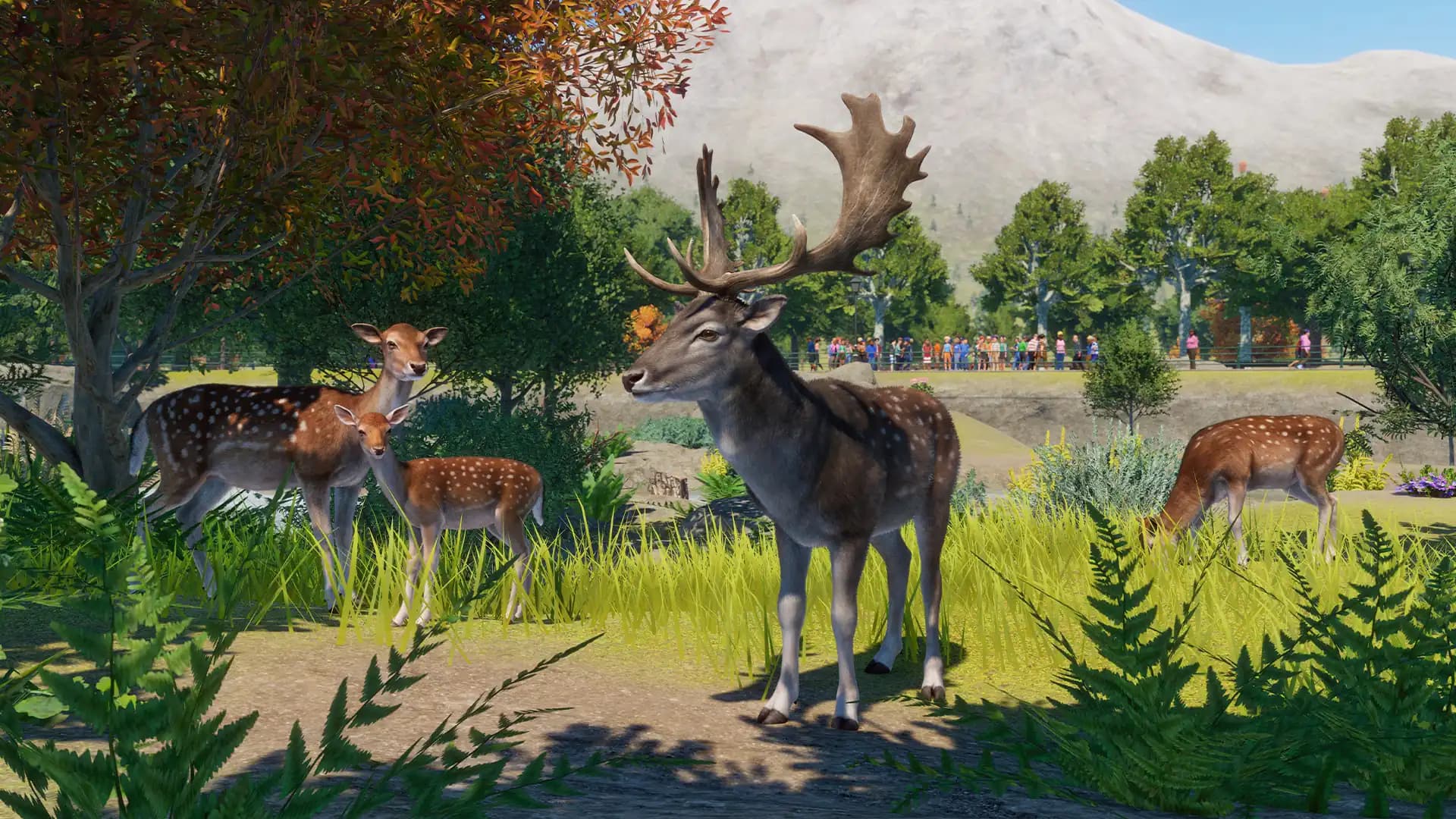 Planet Zoo: Europe Pack media 5