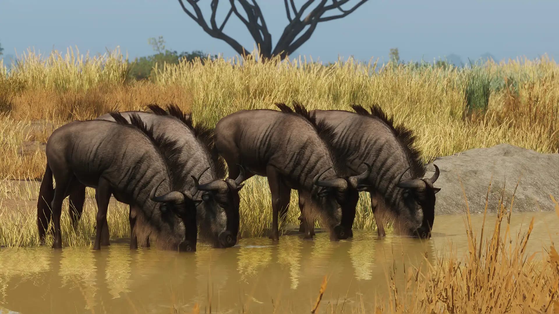 Planet Zoo: Grasslands Animal Pack media 2